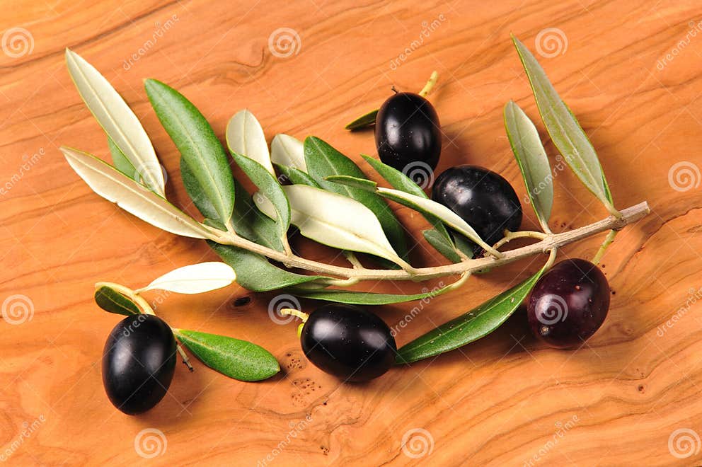 Black olive fruits stock photo. Image of healthiness 17840418