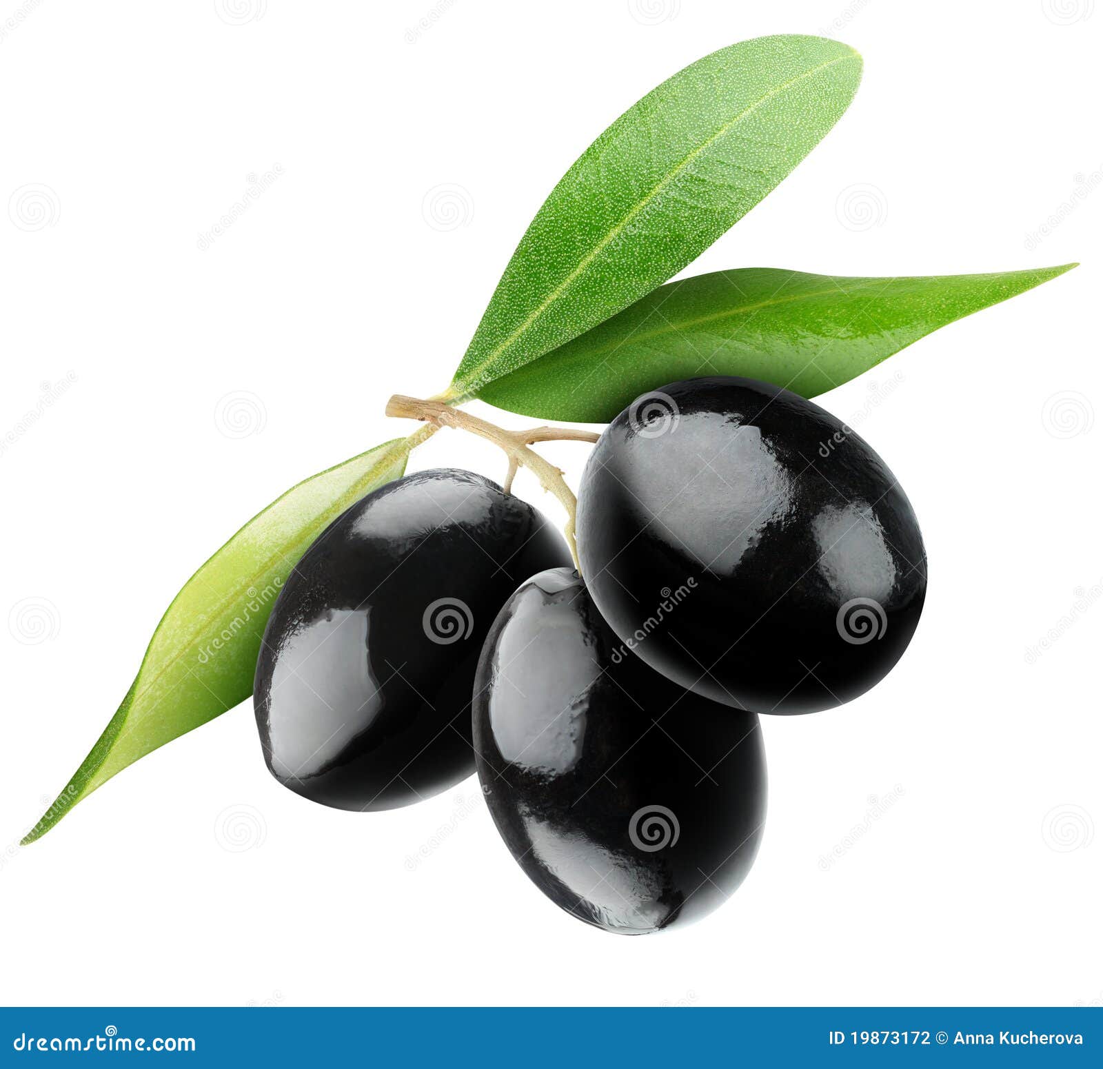 Olives On White Stock Photo - Download Image Now - Olive - Fruit