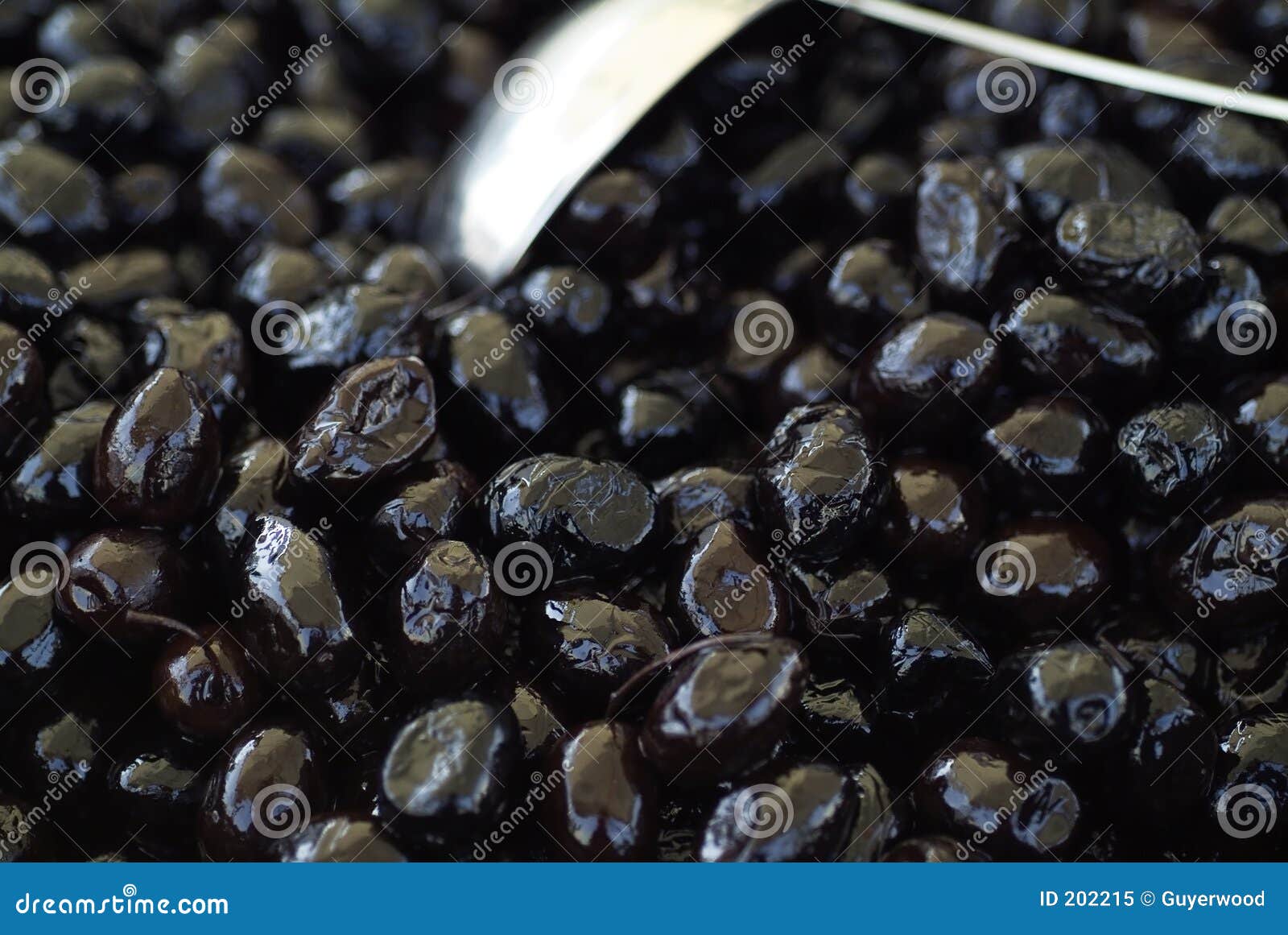 Black olives stock image. Image of italy, black, continental 202215