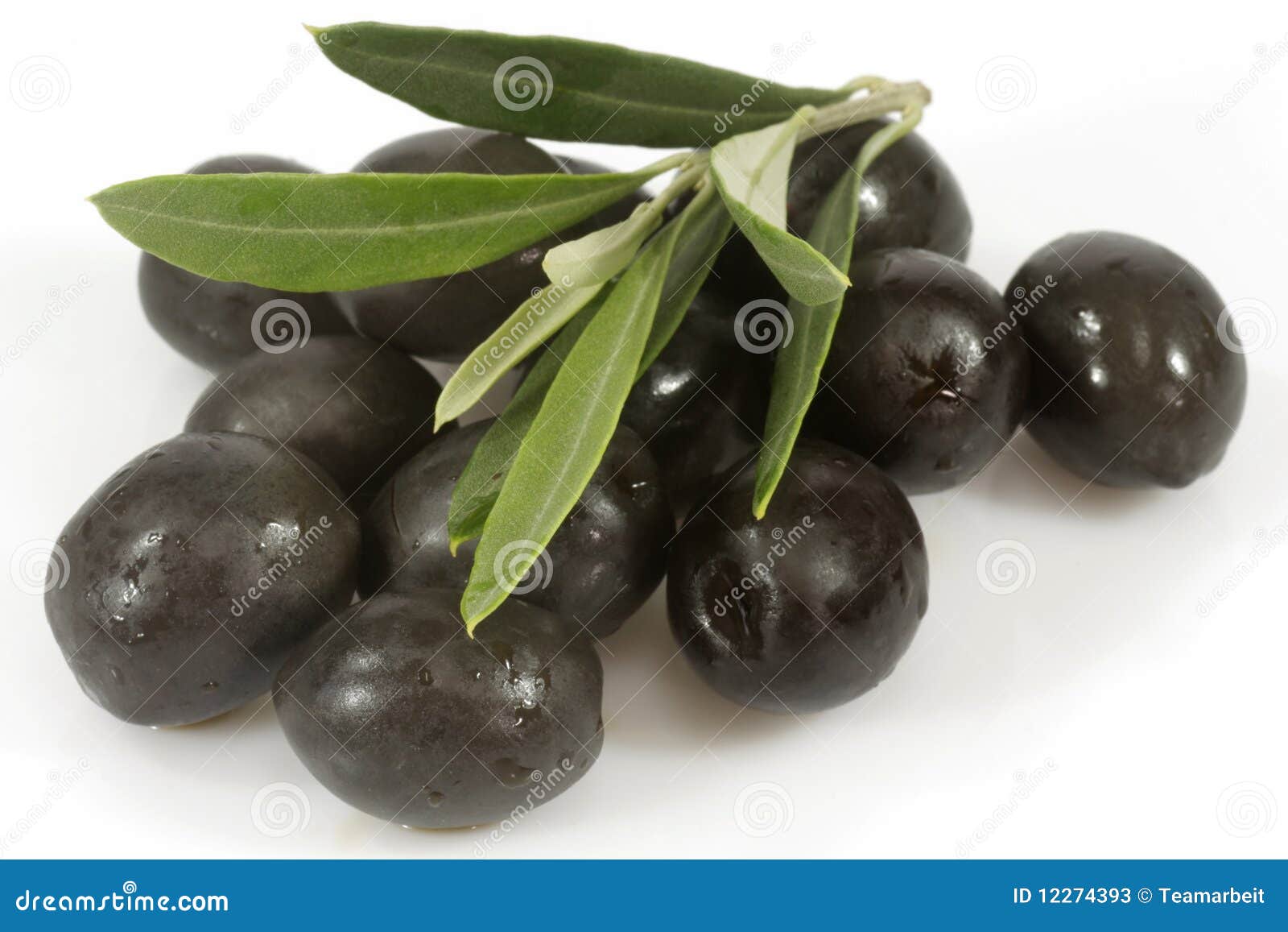 Black Olives with Olive Branch Stock Image Image of leaf, savory