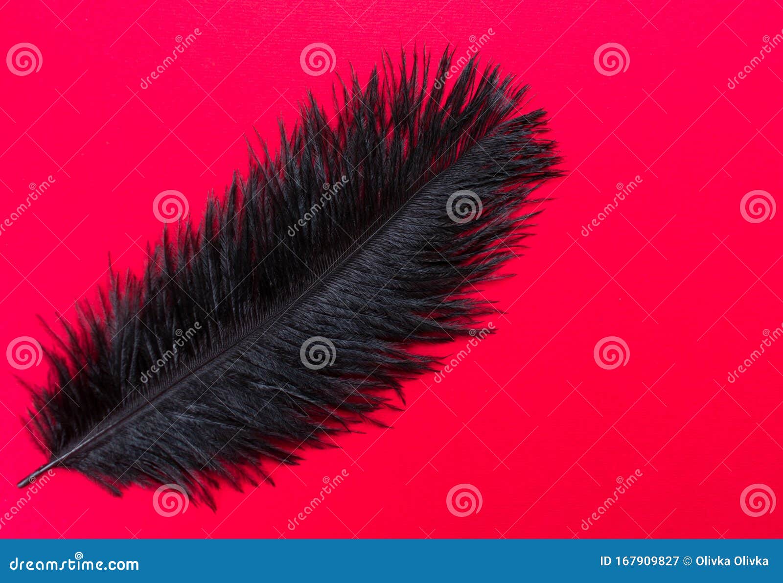 red and black ostrich feathers