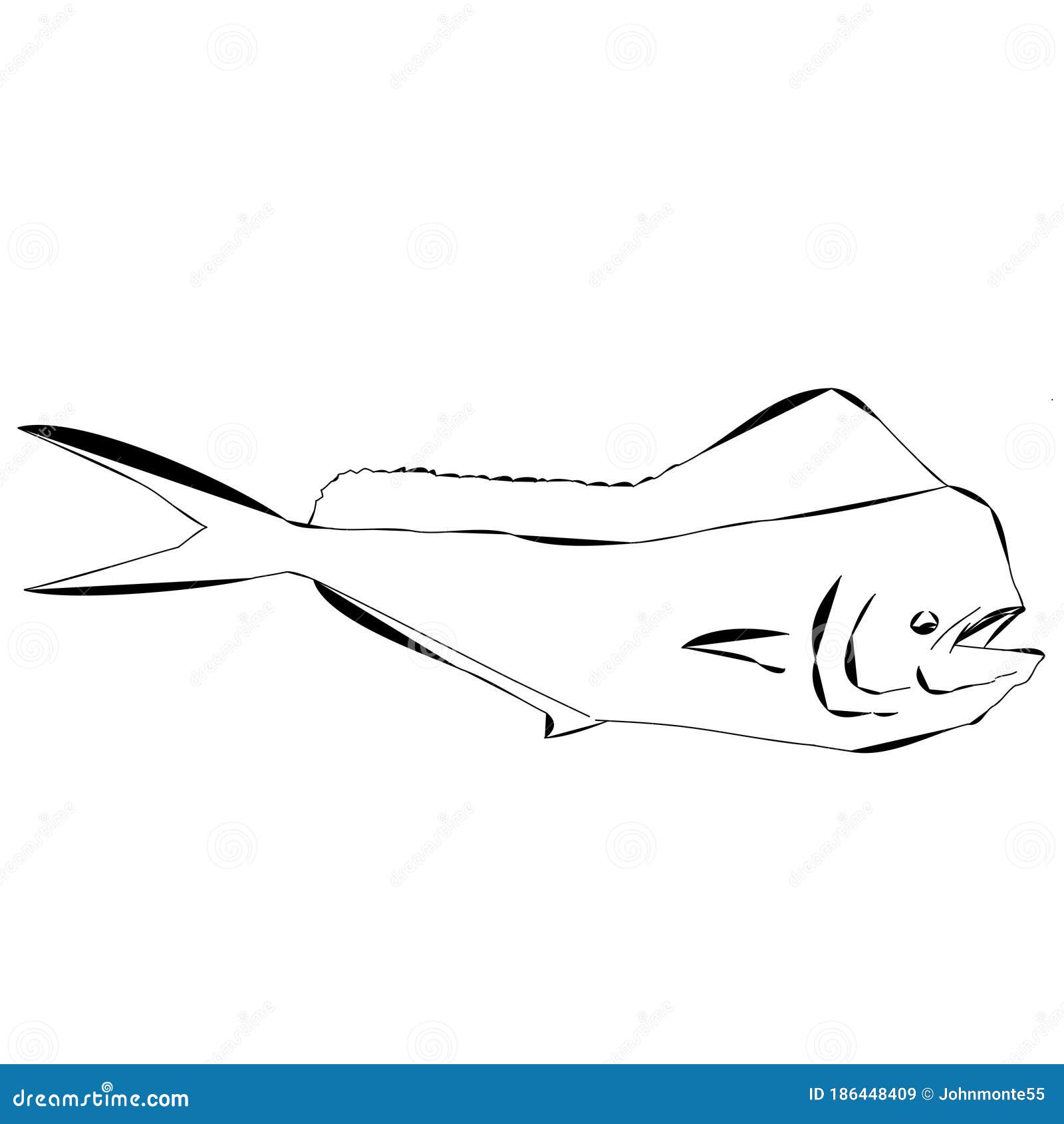An Outline Of A Mahi Mahi Fish Or Dolphin Fish Cartoon Vector