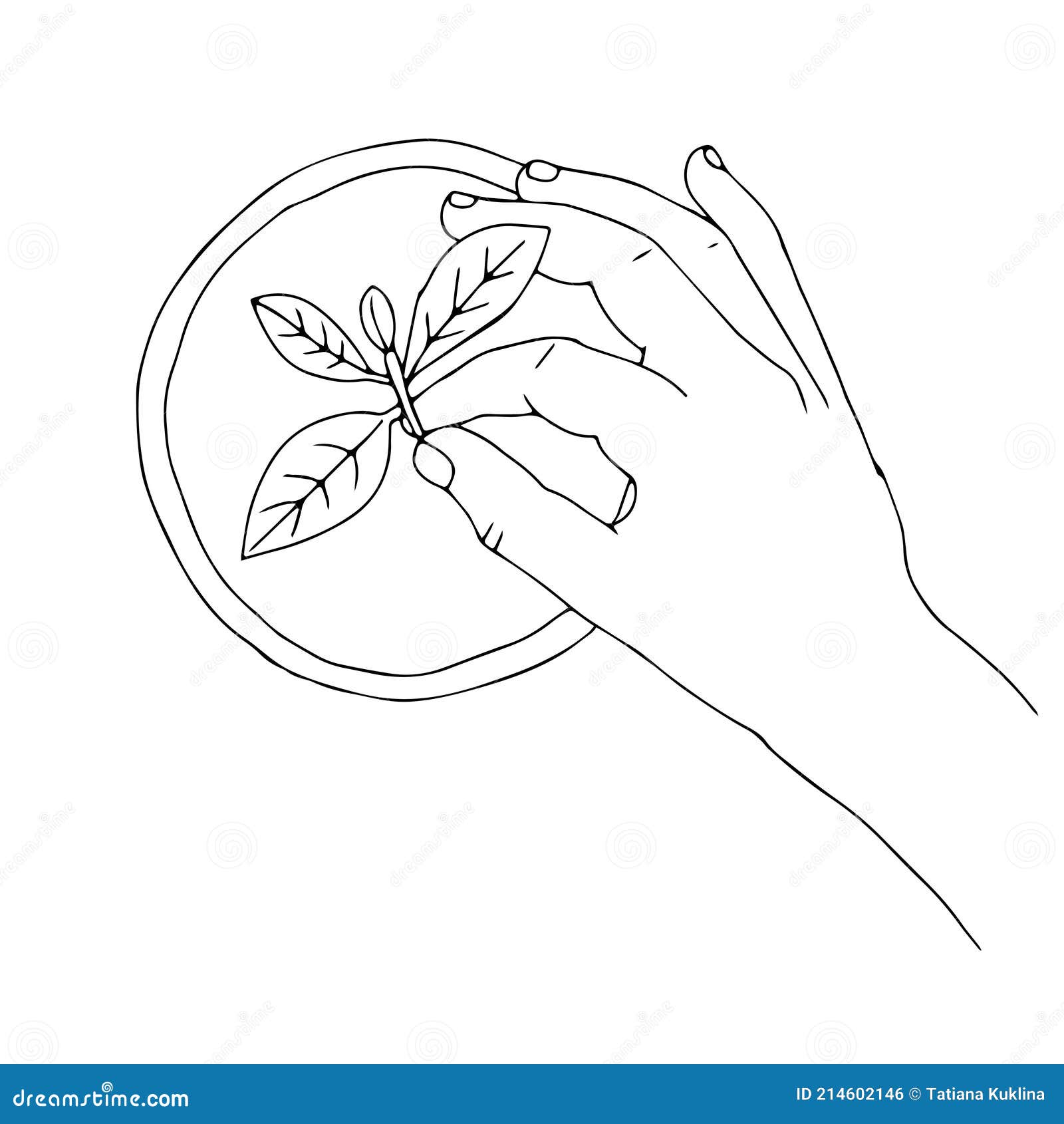 Black Outline Hand Drawing Vector Illustration of a Decorative Plant ...