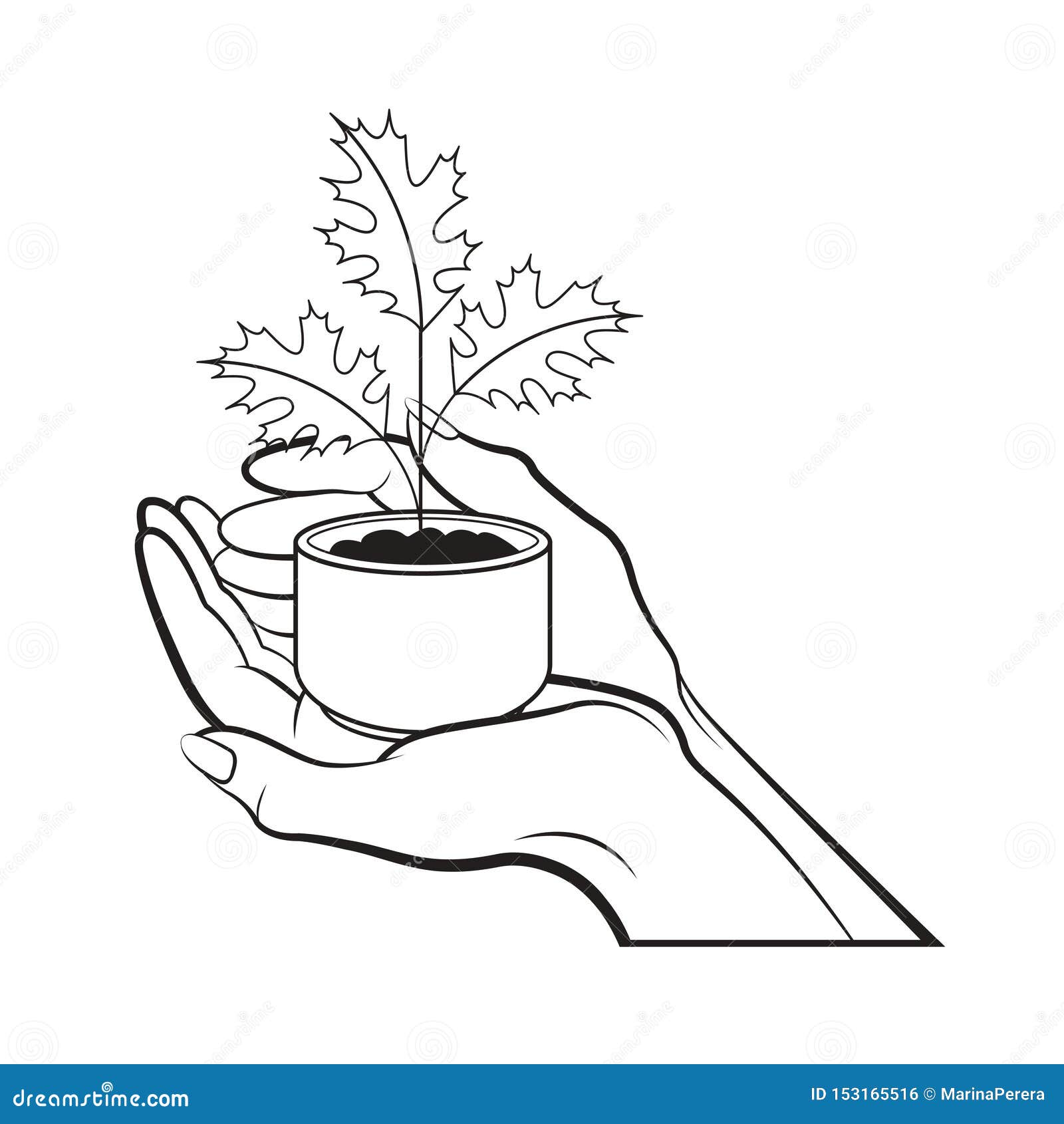Black Outline Small Maple Plant Pot in Hand Stock Vector - Illustration ...