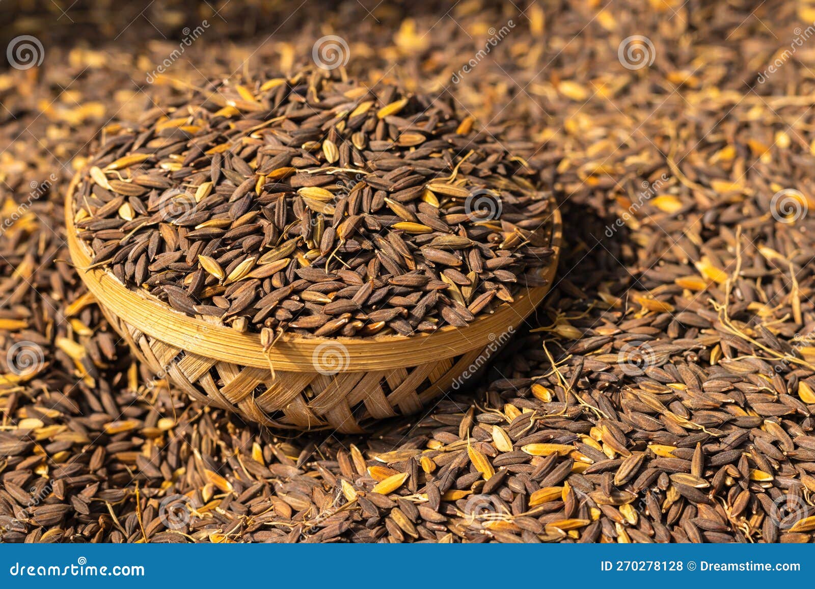 Black Paddy Rice Seeds in Bamboo Bowl from Top Angle at Day Stock Photo