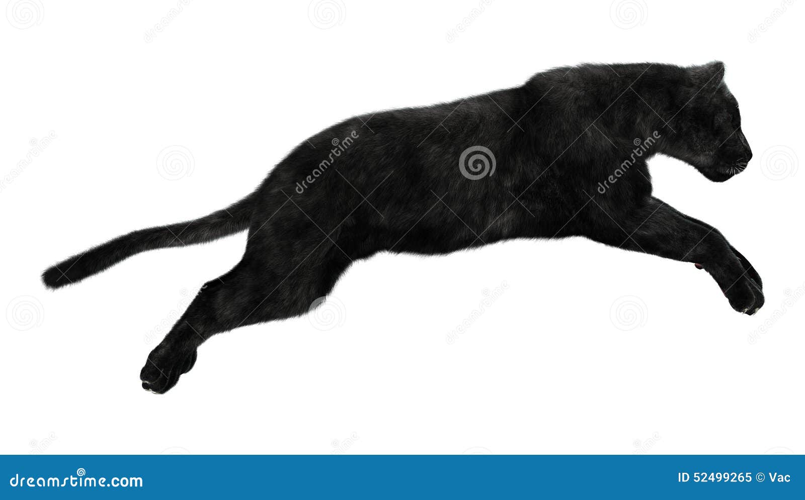Jumping Black Panther Stock Photos - Free & Royalty-Free Stock Photos from  Dreamstime