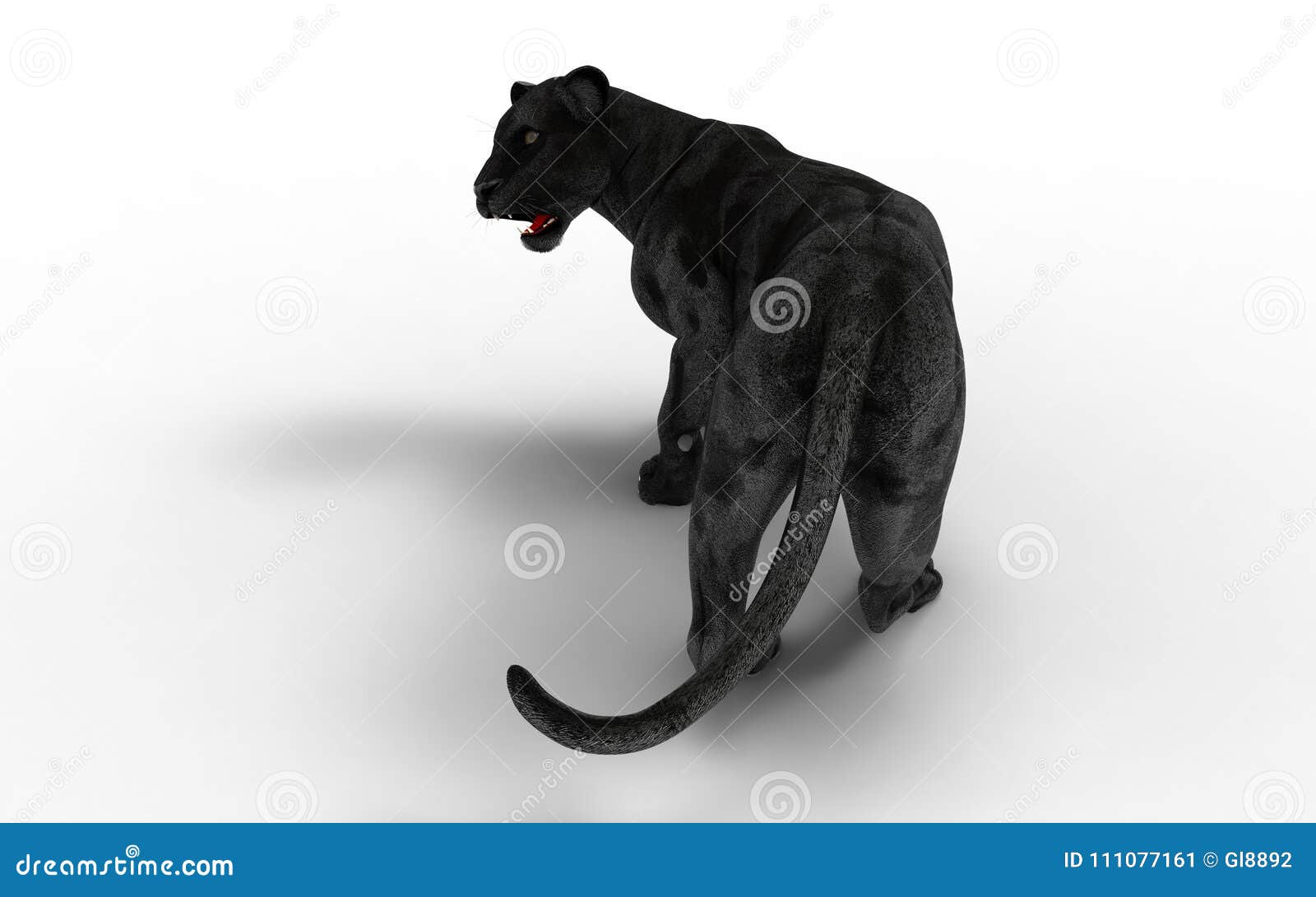 Black Panther Isolate on White Background Stock Illustration - Illustration  of dangerous, fear: 111077161