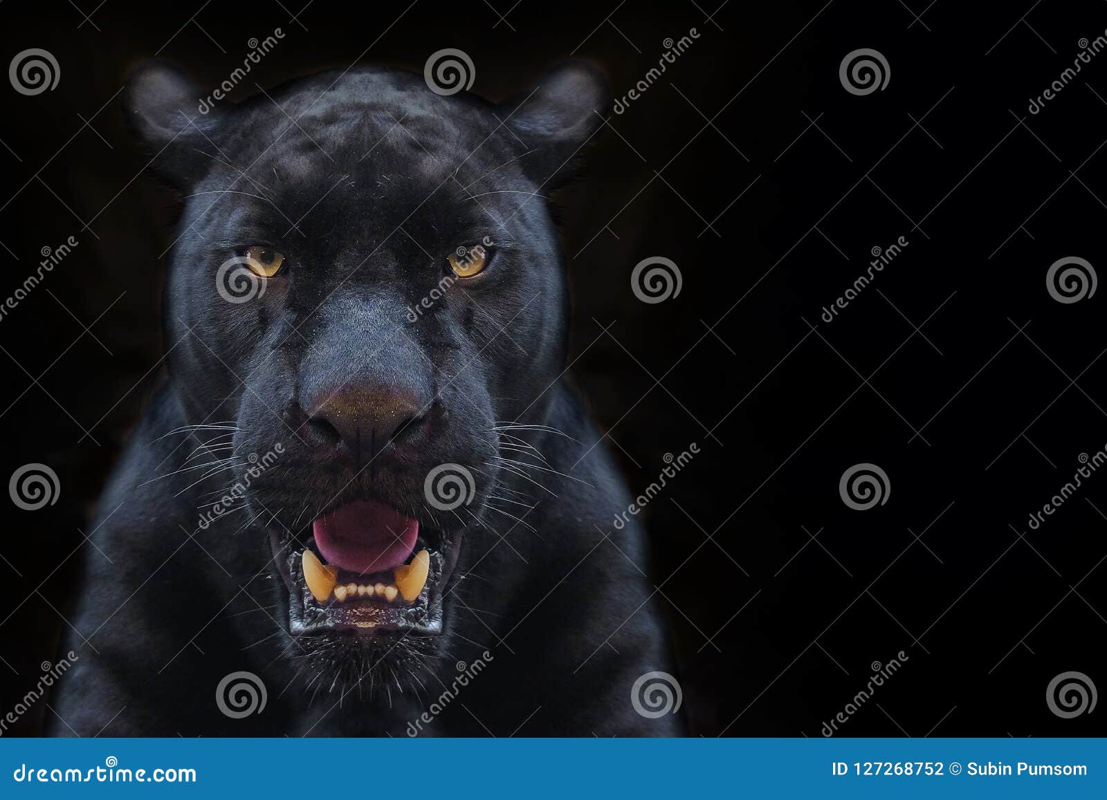Unduh 75 Background Black Panther Paling Keren
