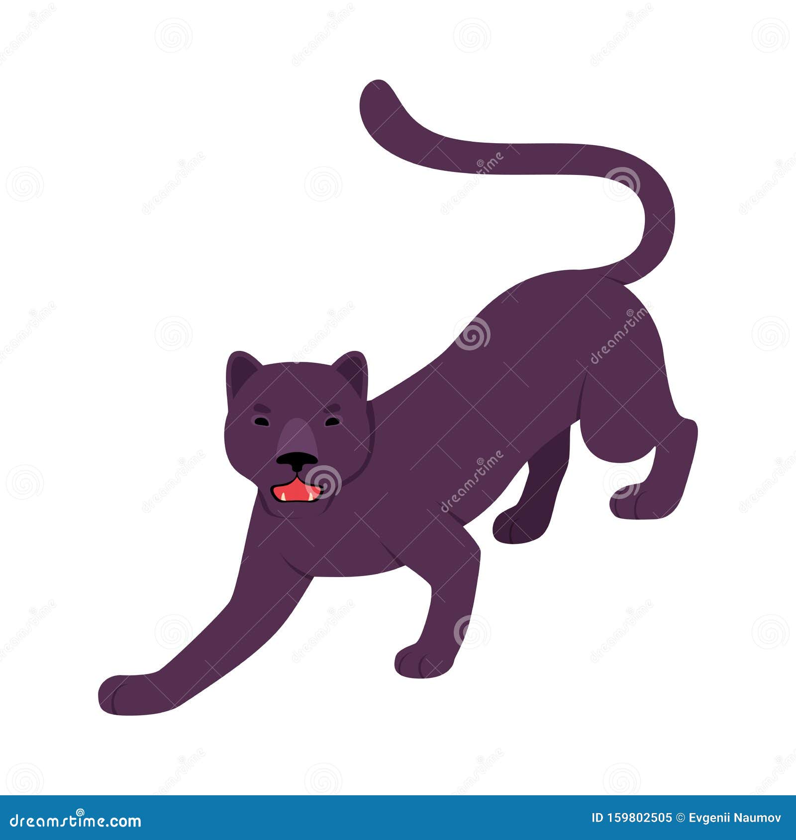  Black  Panther  Vector  Illustration On A White Background  