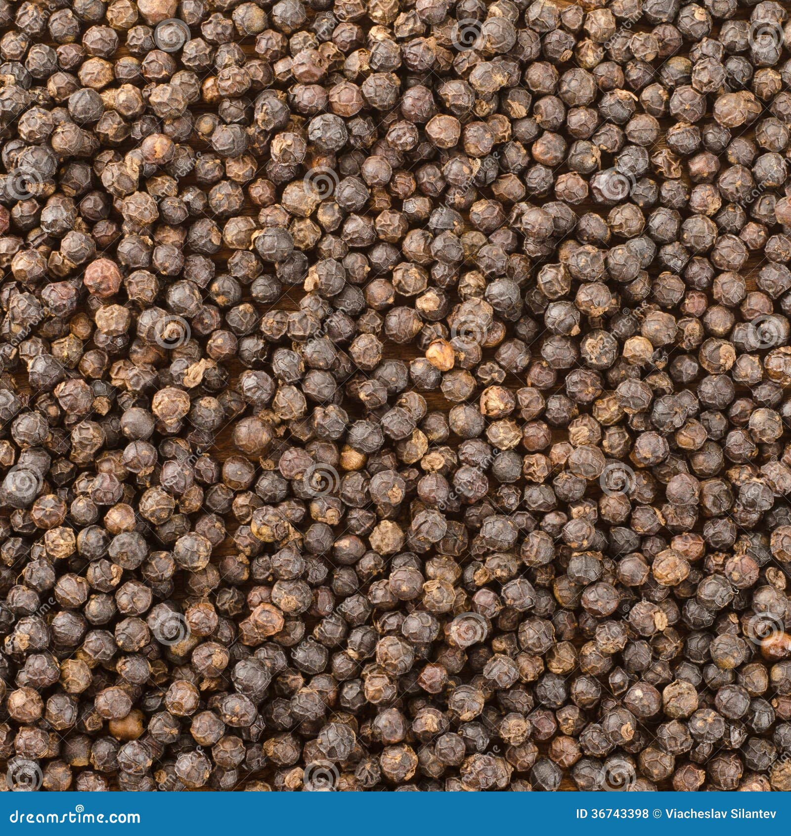 Black pepper grains stock photo. Image of pepper, bell 36743398