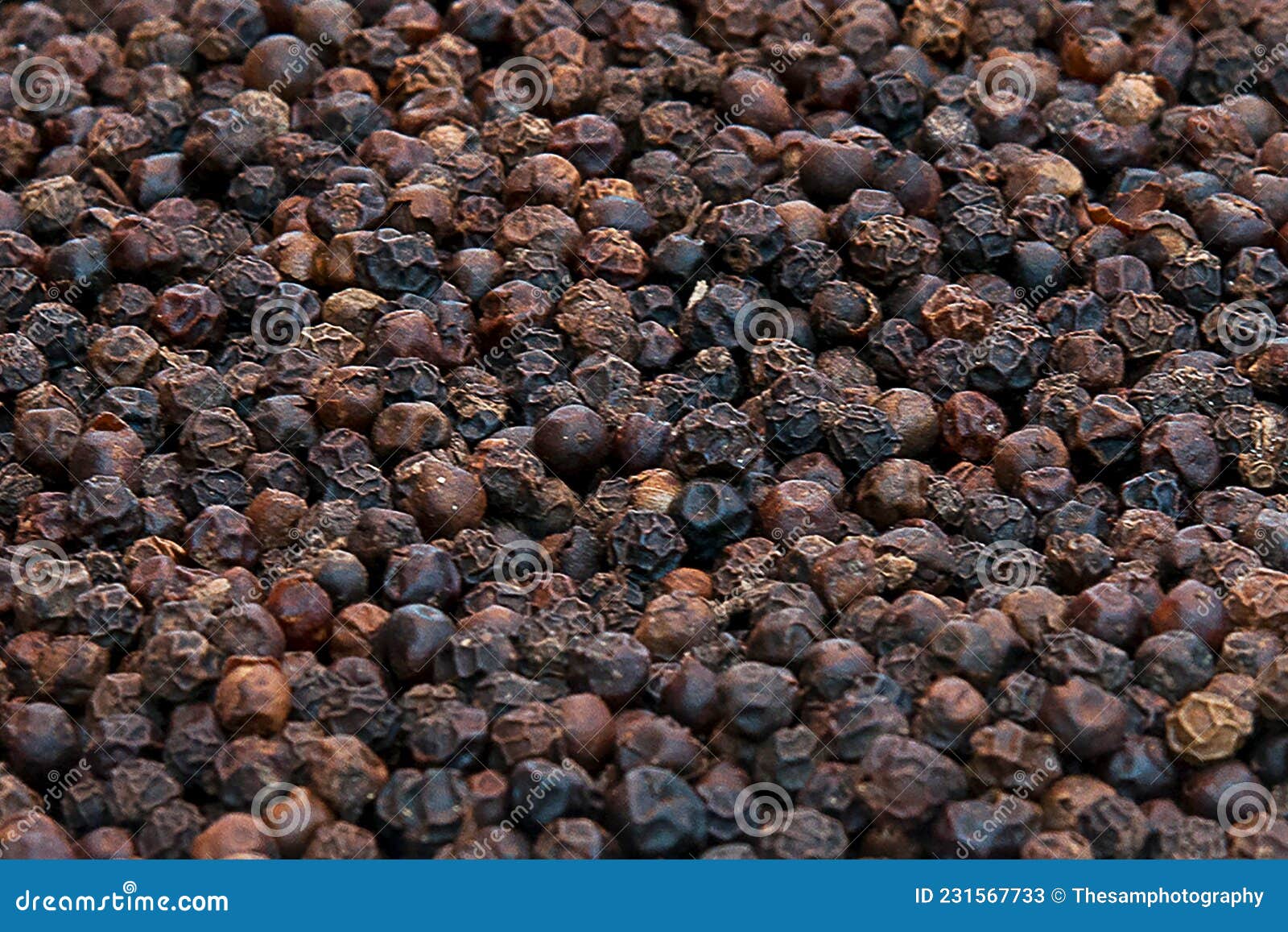 Black pepper a hot spice stock image. Image of naturally 231567733