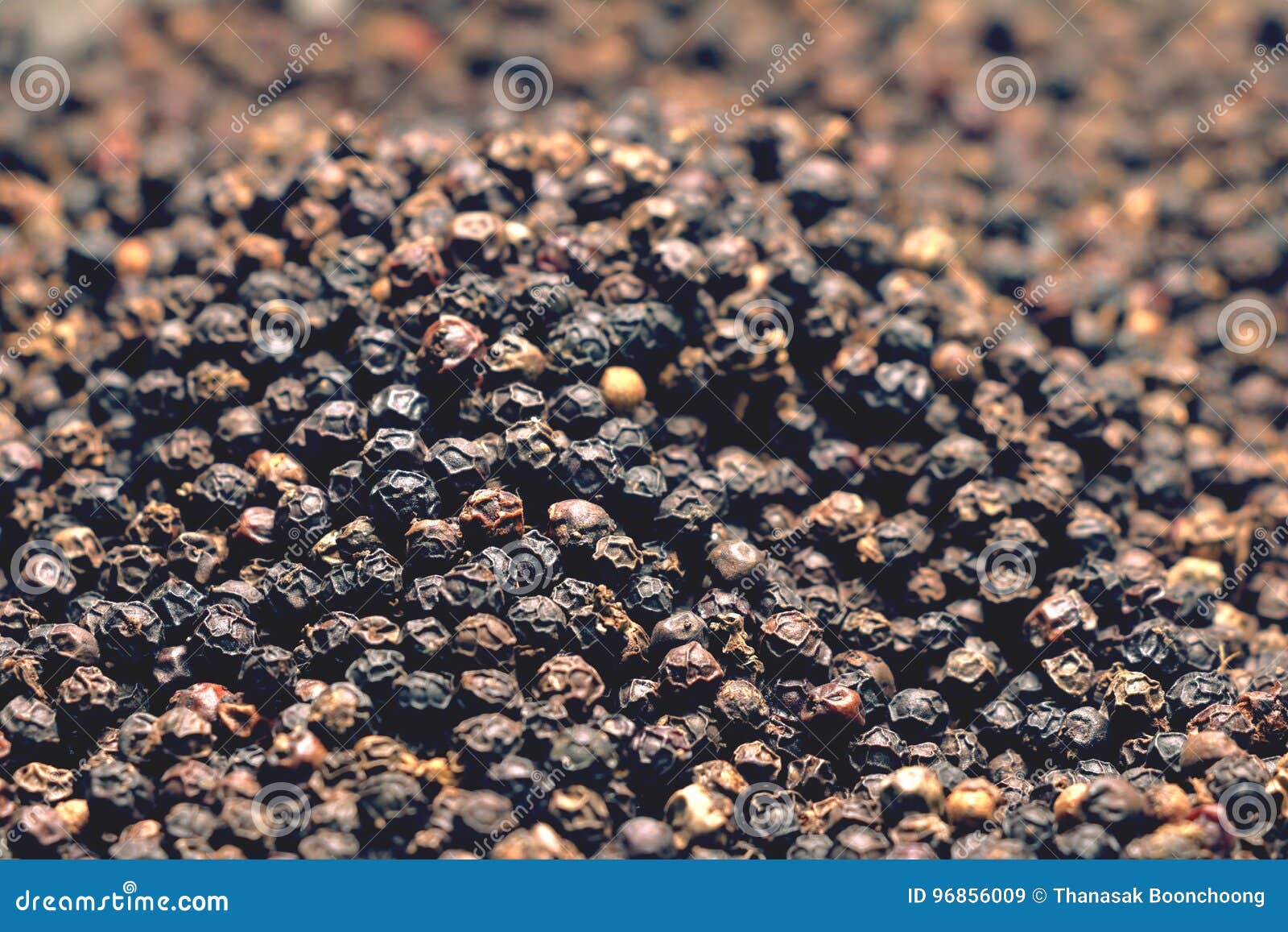 Black pepper seeds stock image. Image of plantation, organic 96856009