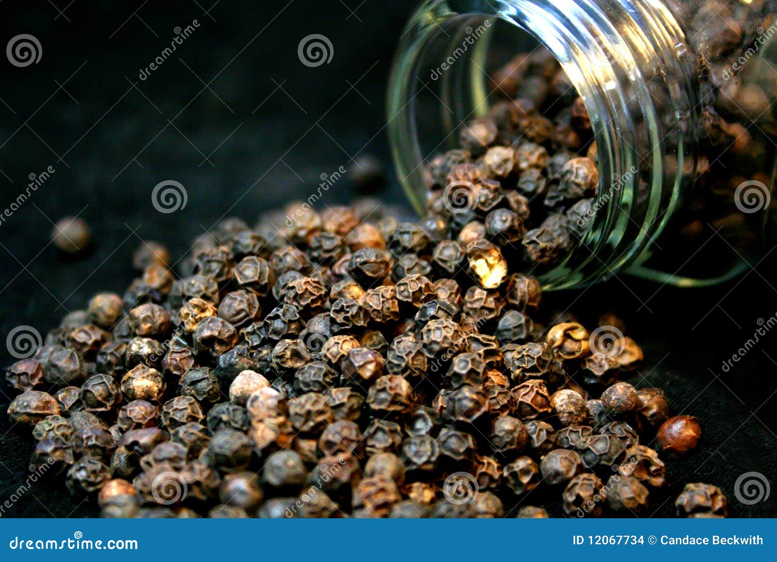 Black Peppercorn stock photo. Image of recipe, taste 12067734