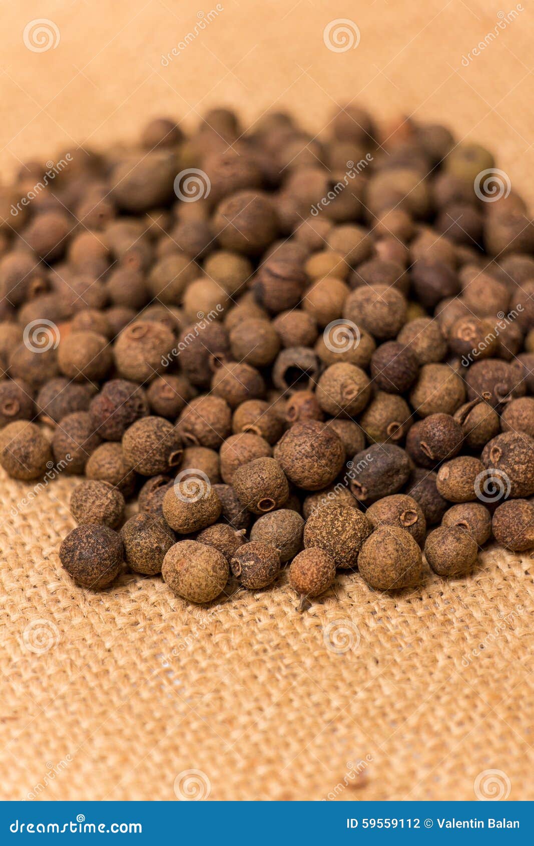 Black peppercorns stock photo. Image of detail, flavoring 59559112