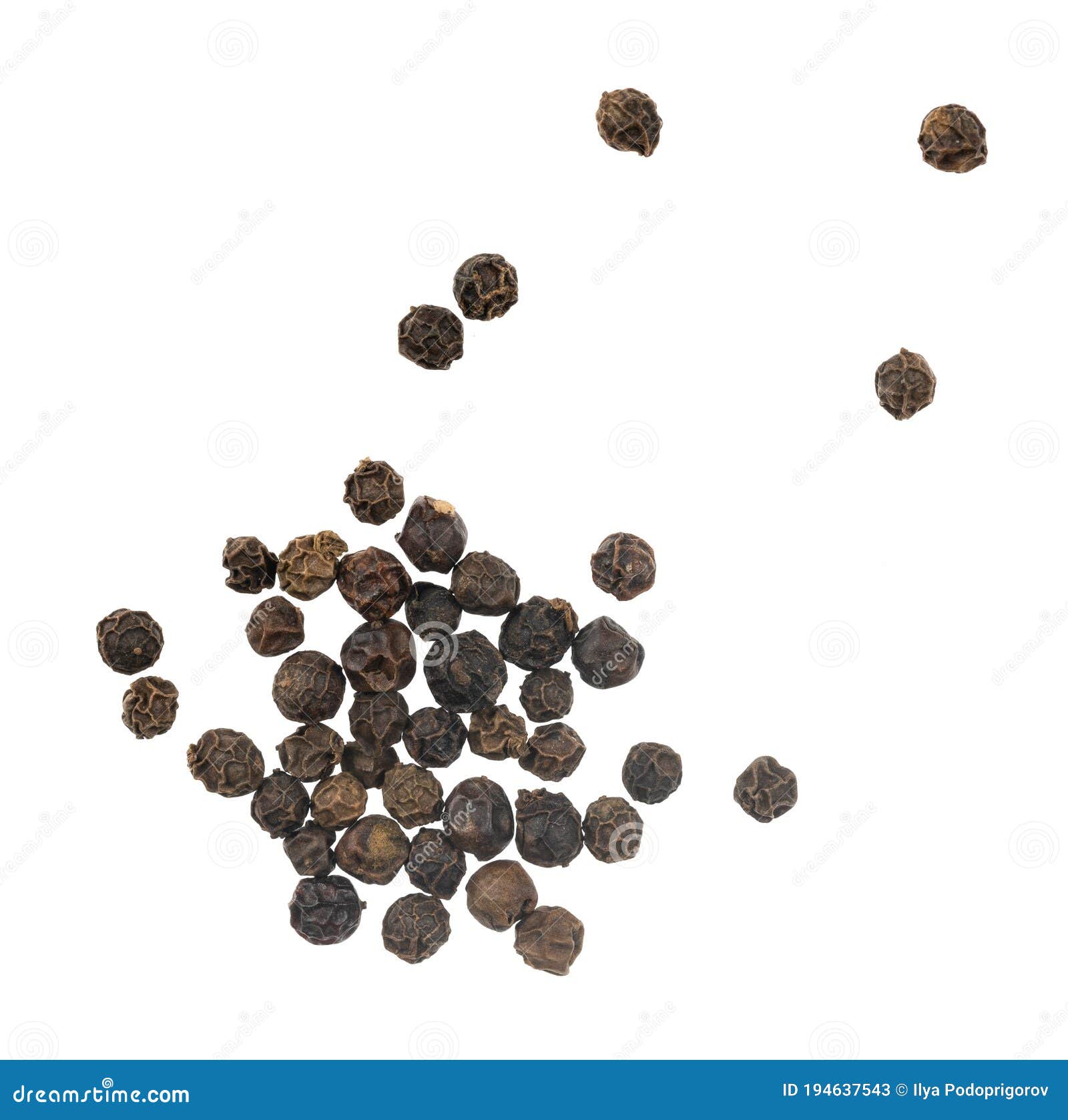 Black Peppercorns Isolated on White Background Stock Image Image of