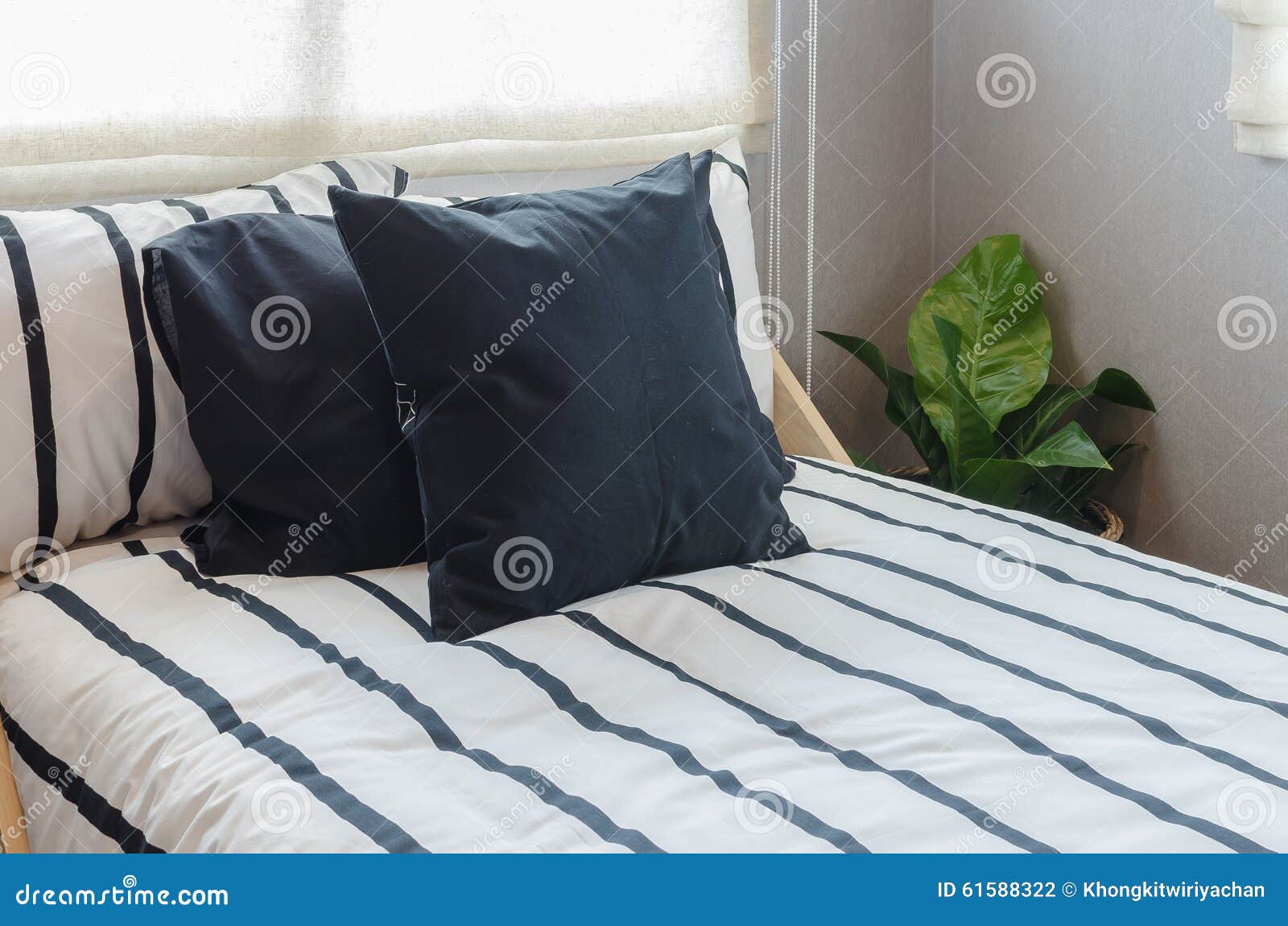 Black Pillows on Black and White Bed Stock Photo Image of light