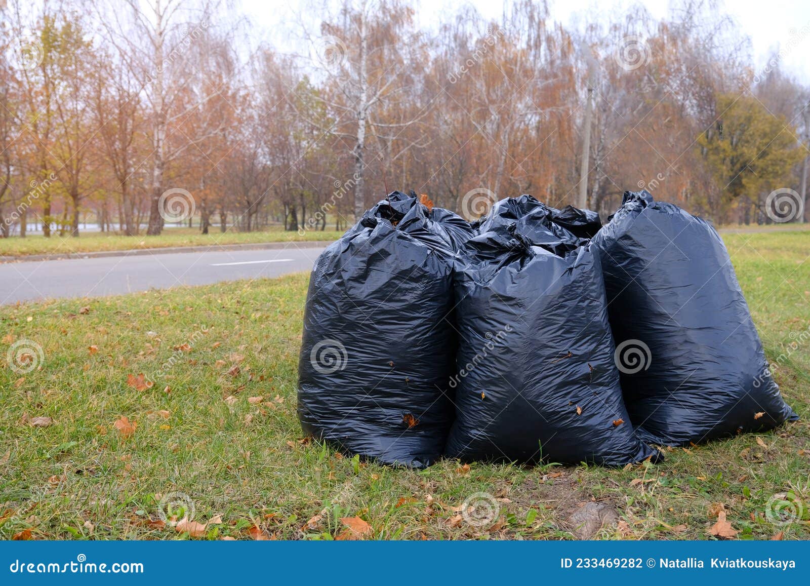 Lots of Black Trash Bags with Autumn Leaves in Them Around a Tree