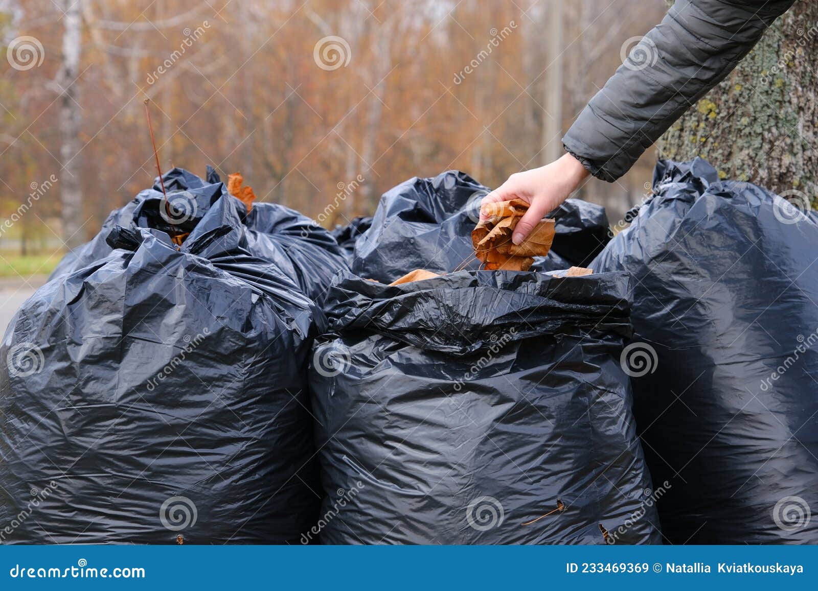 Lots of big black garbage bags for cleaning the autumn leaves on