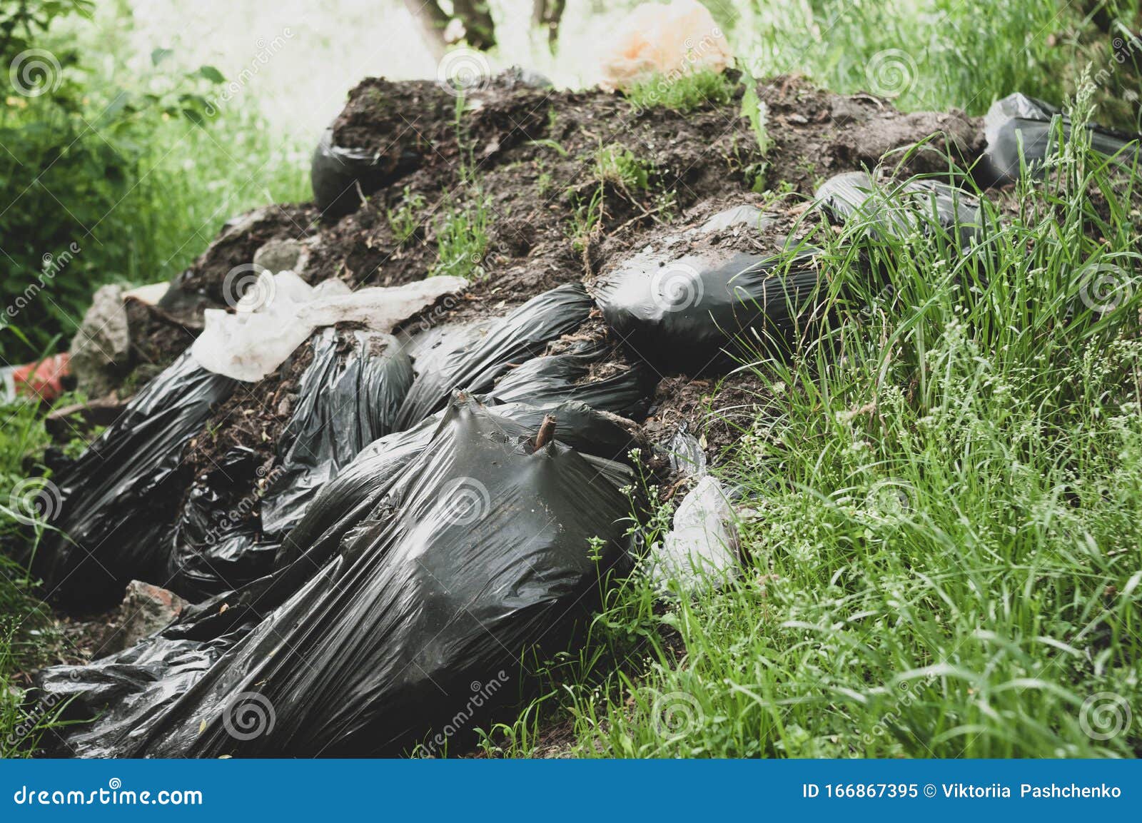 Black Plastic Bags with Garbage and Dump on Green Grass in Forest Stock