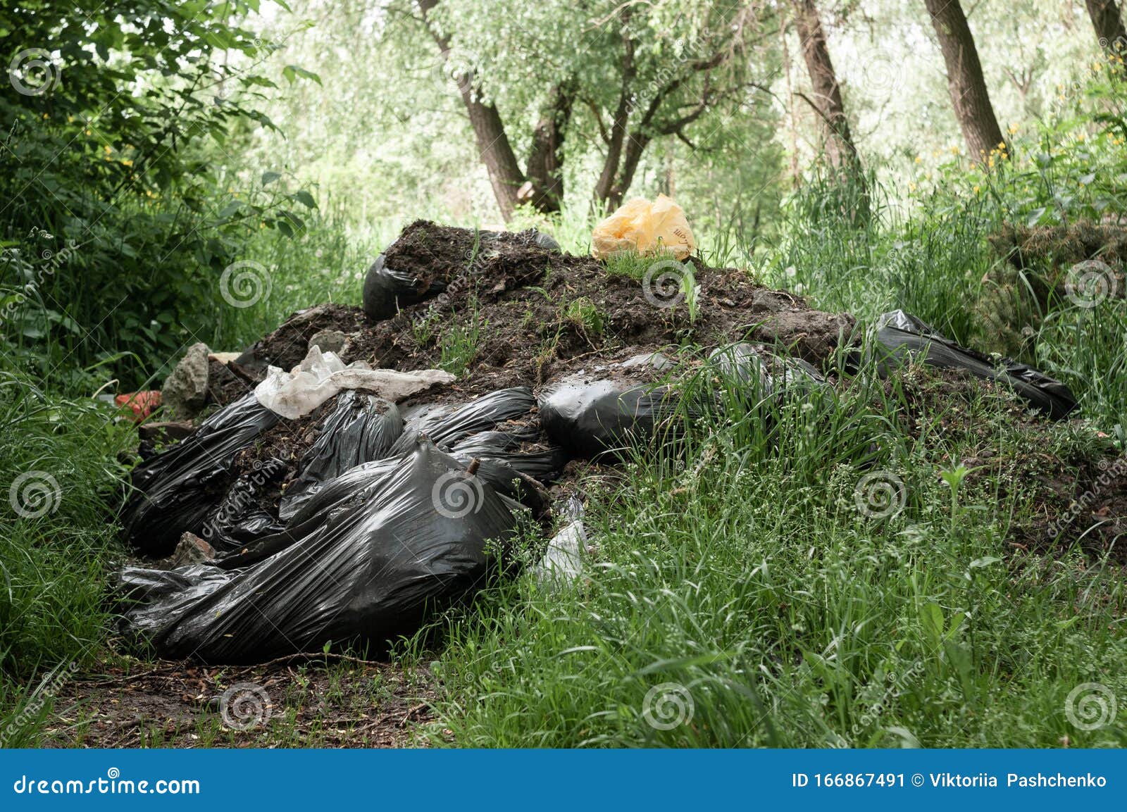 Black Plastic Bags with Garbage and Dump on Green Grass Near Trees in