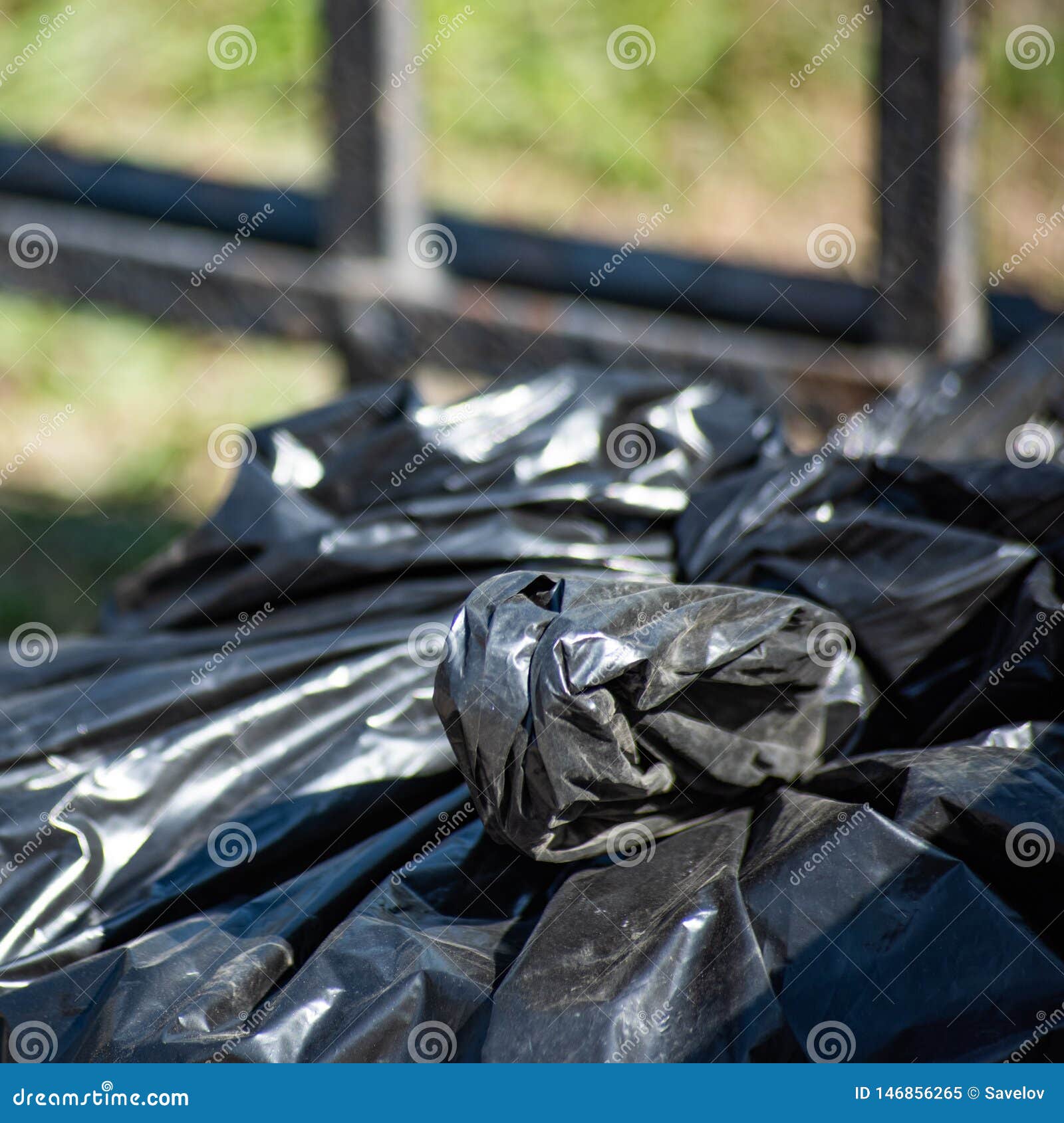 Black Plastic Garbage Bag Stock Image Image of knot, environment 146856265