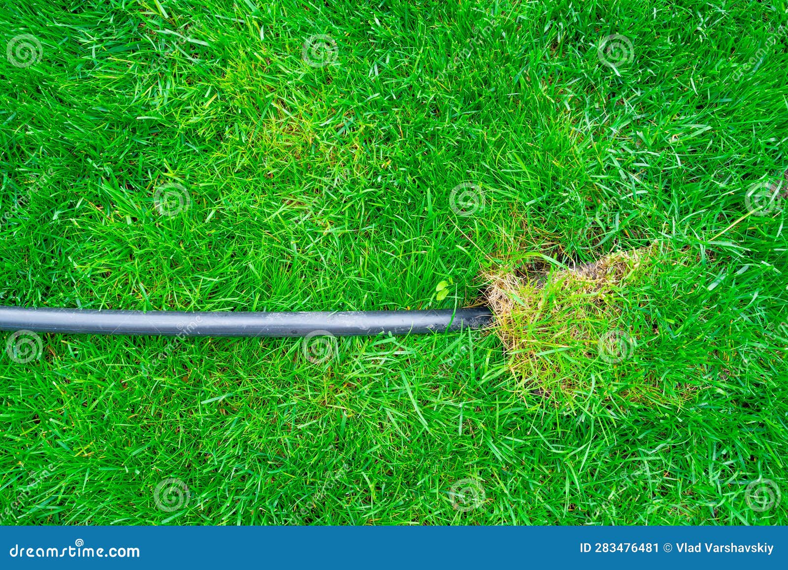 A Black Plastic Pipe Comes Out of a Green Lawn. the Beginning of the