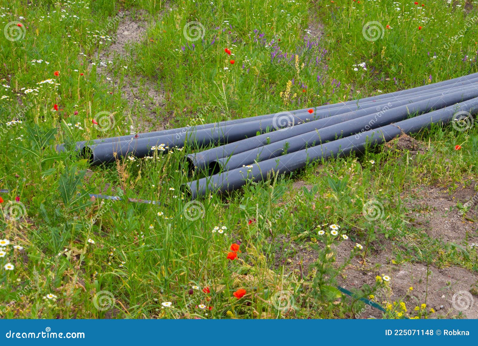Black Plastic Pipes Laying in the Grass Stock Photo Image of plastic