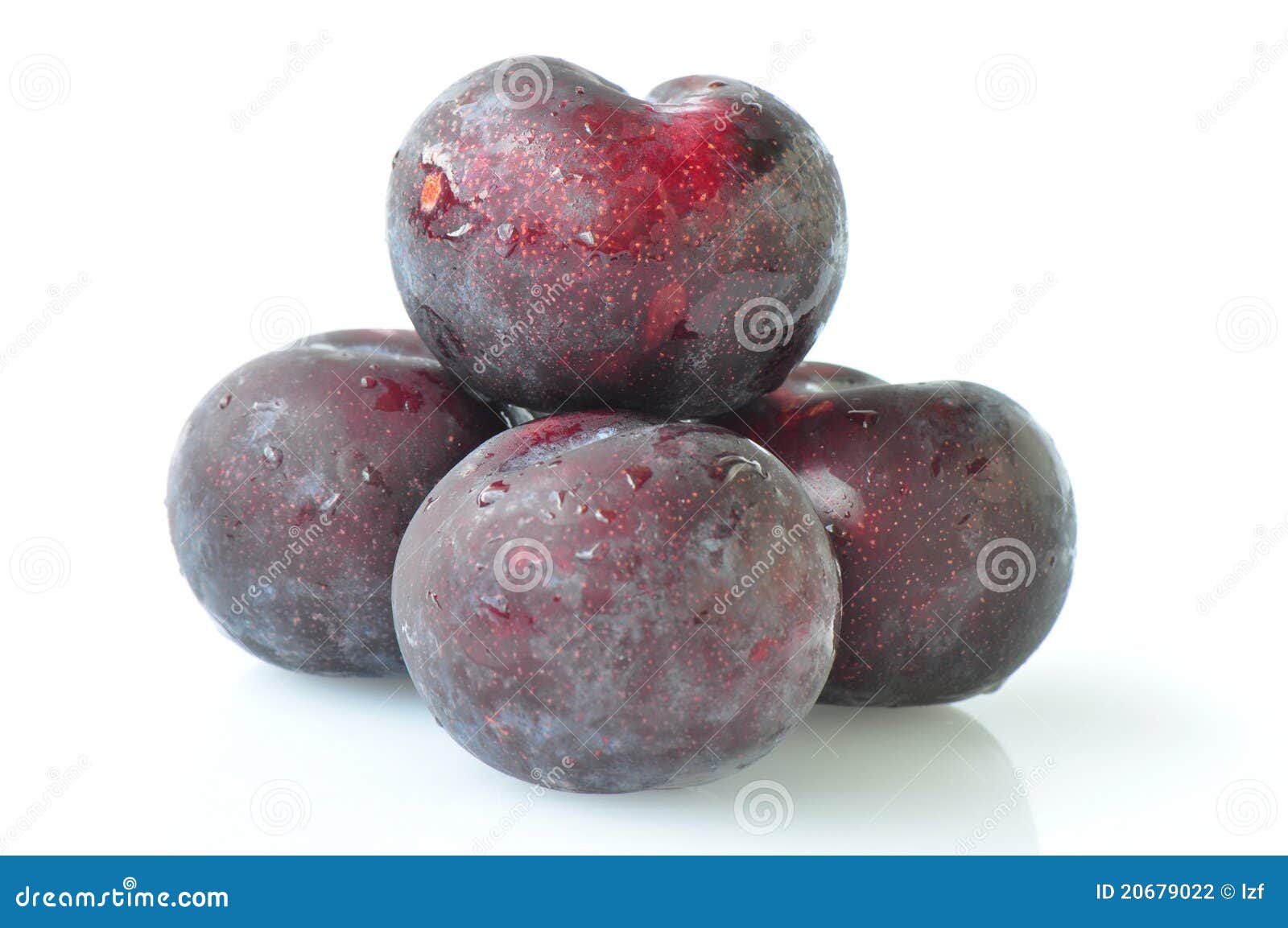 Black plums stock photo. Image of drops, fresh, summer 20679022