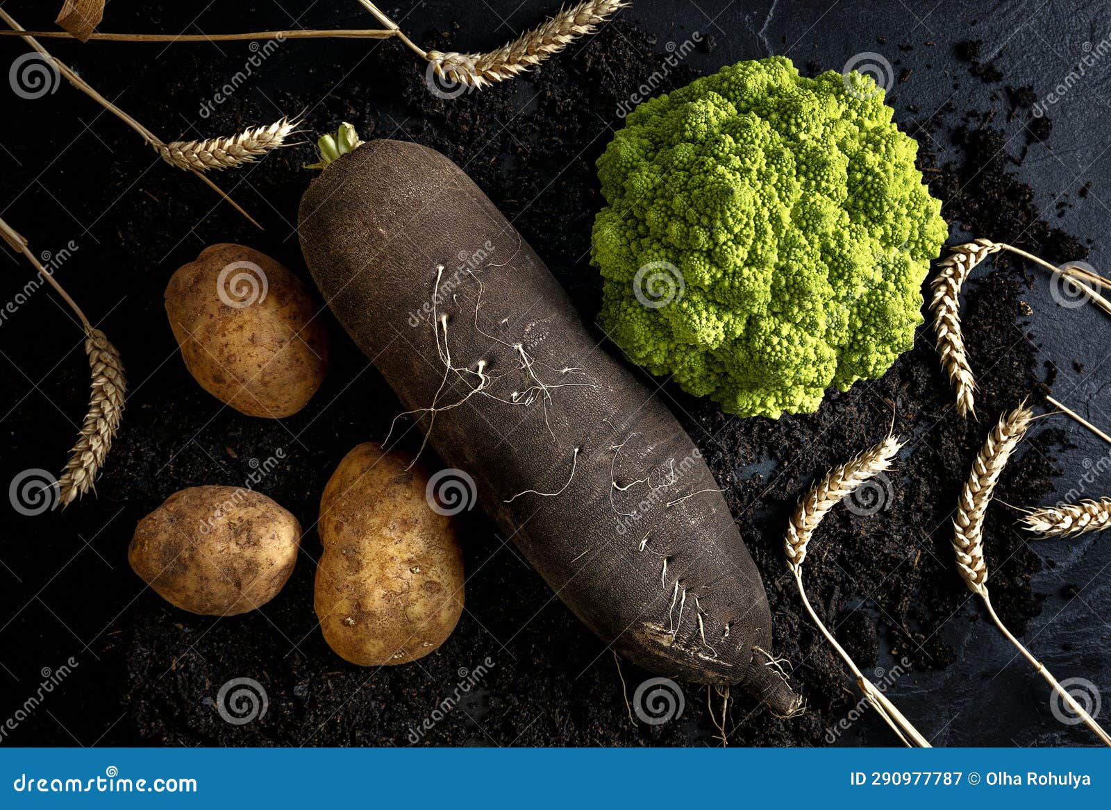 black redish, potato, wheat