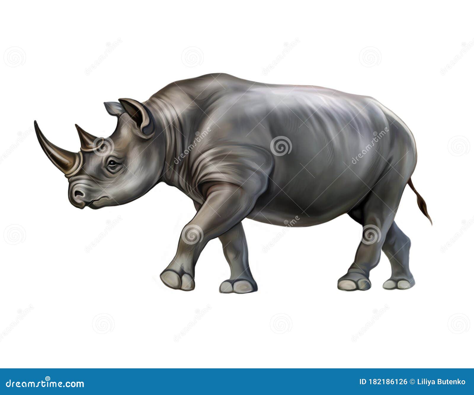 Black Rhino Diceros Bicornis Stock Illustration - Illustration of animals,  mammal: 182186126