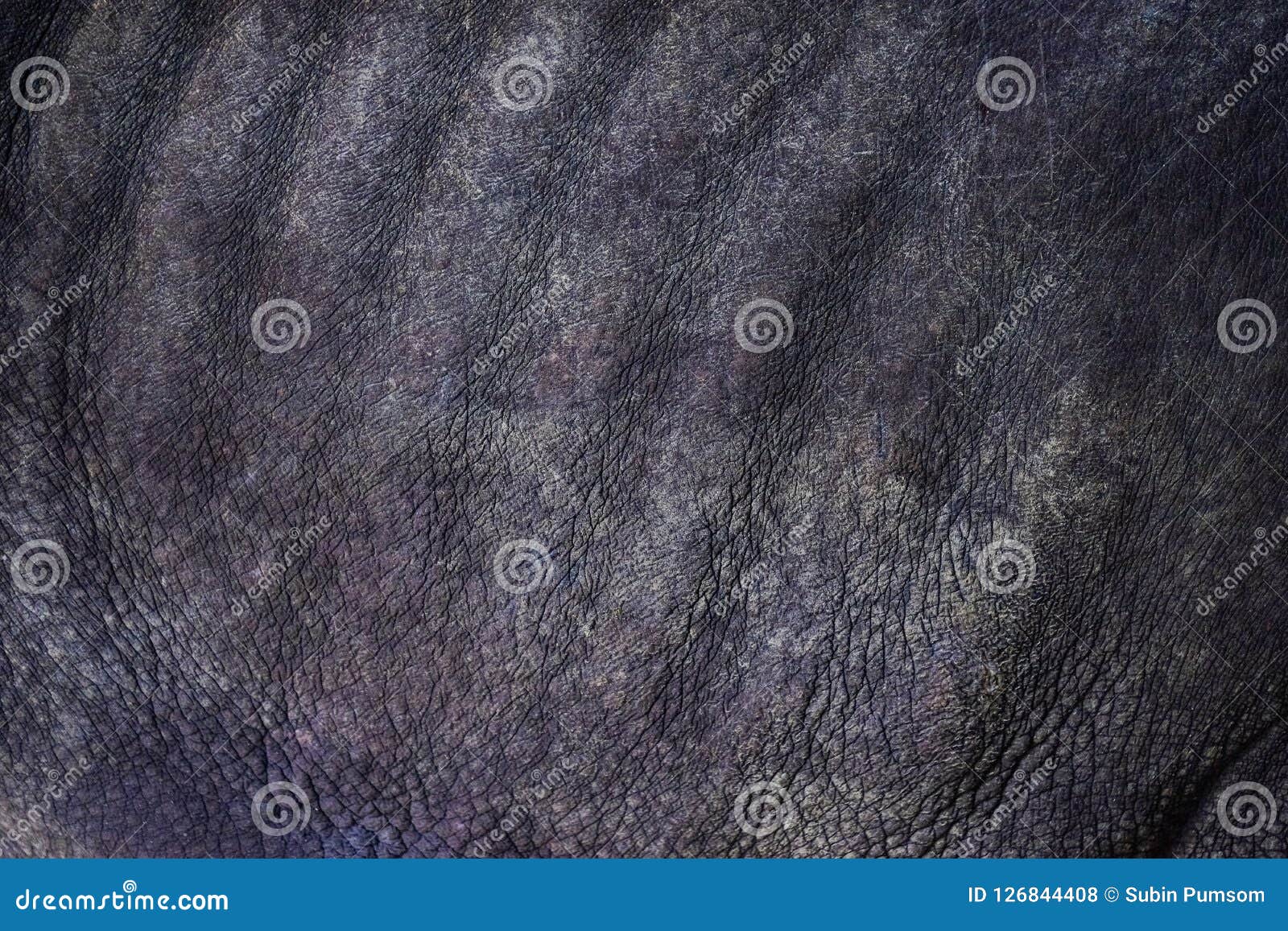 texture rhinoceros download texture rhinoceros download