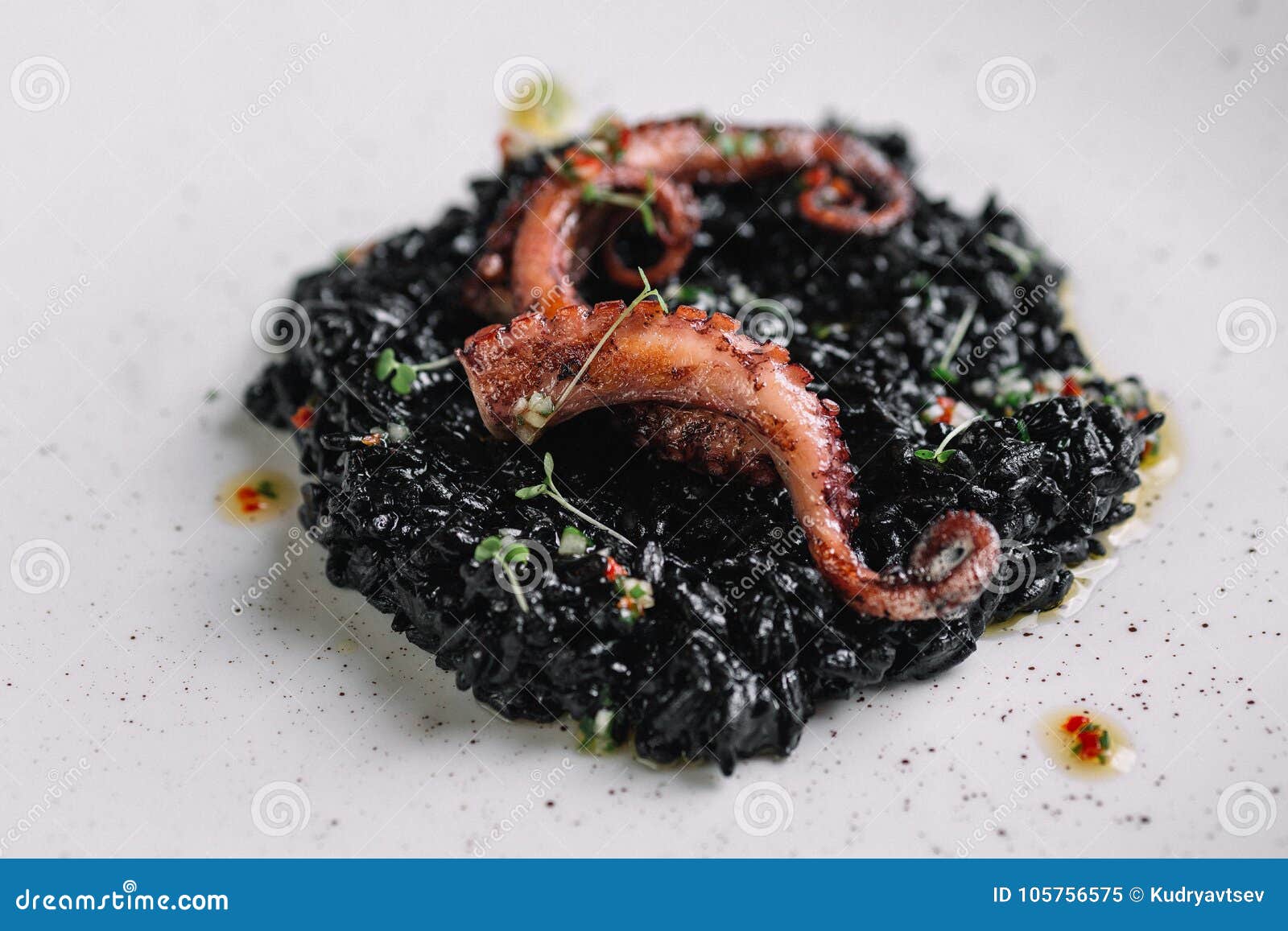 Black Risotto with Cuttlefish Ink and Octopus Tentacles on Irregular