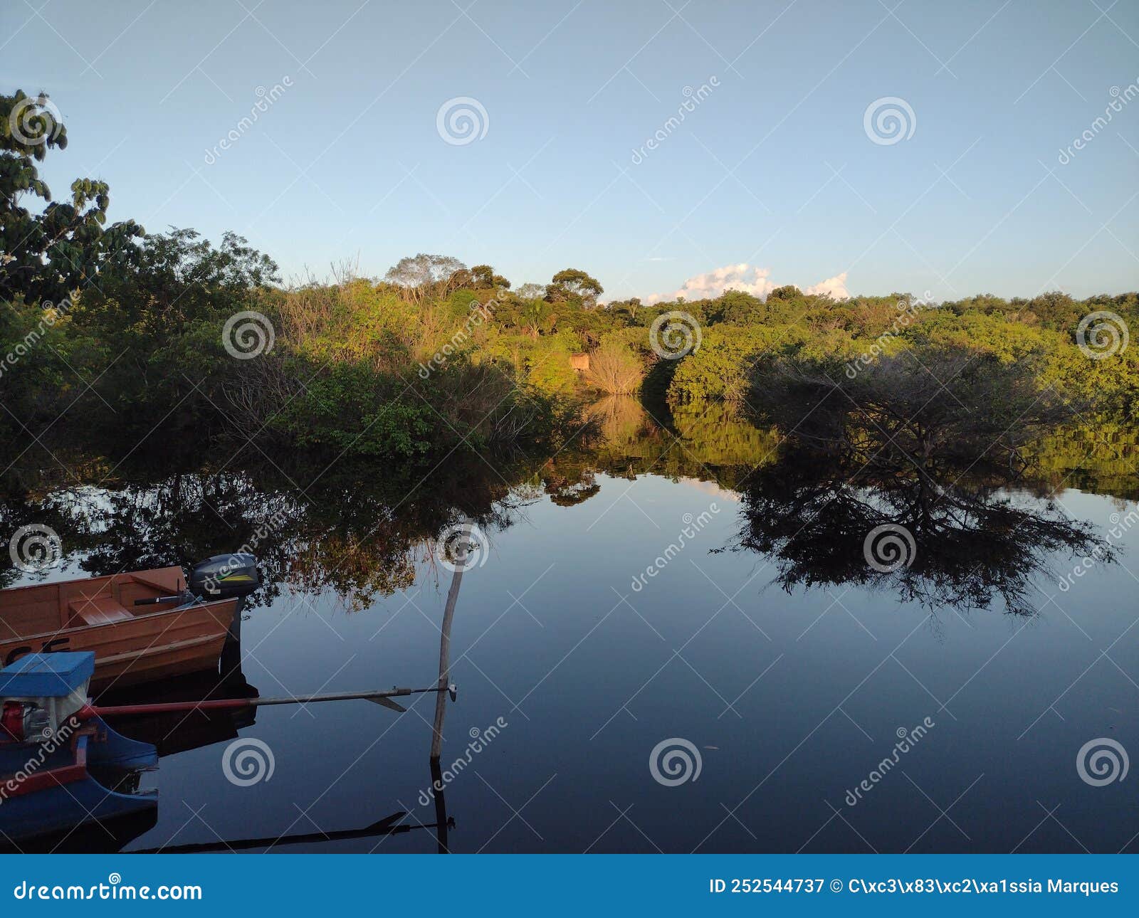 Black River of the Amazon Rainforest Stock Image - Image of nature