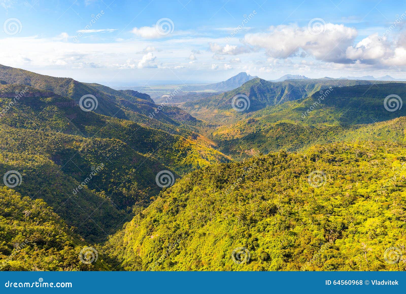 black river gorges national park on mauritius.