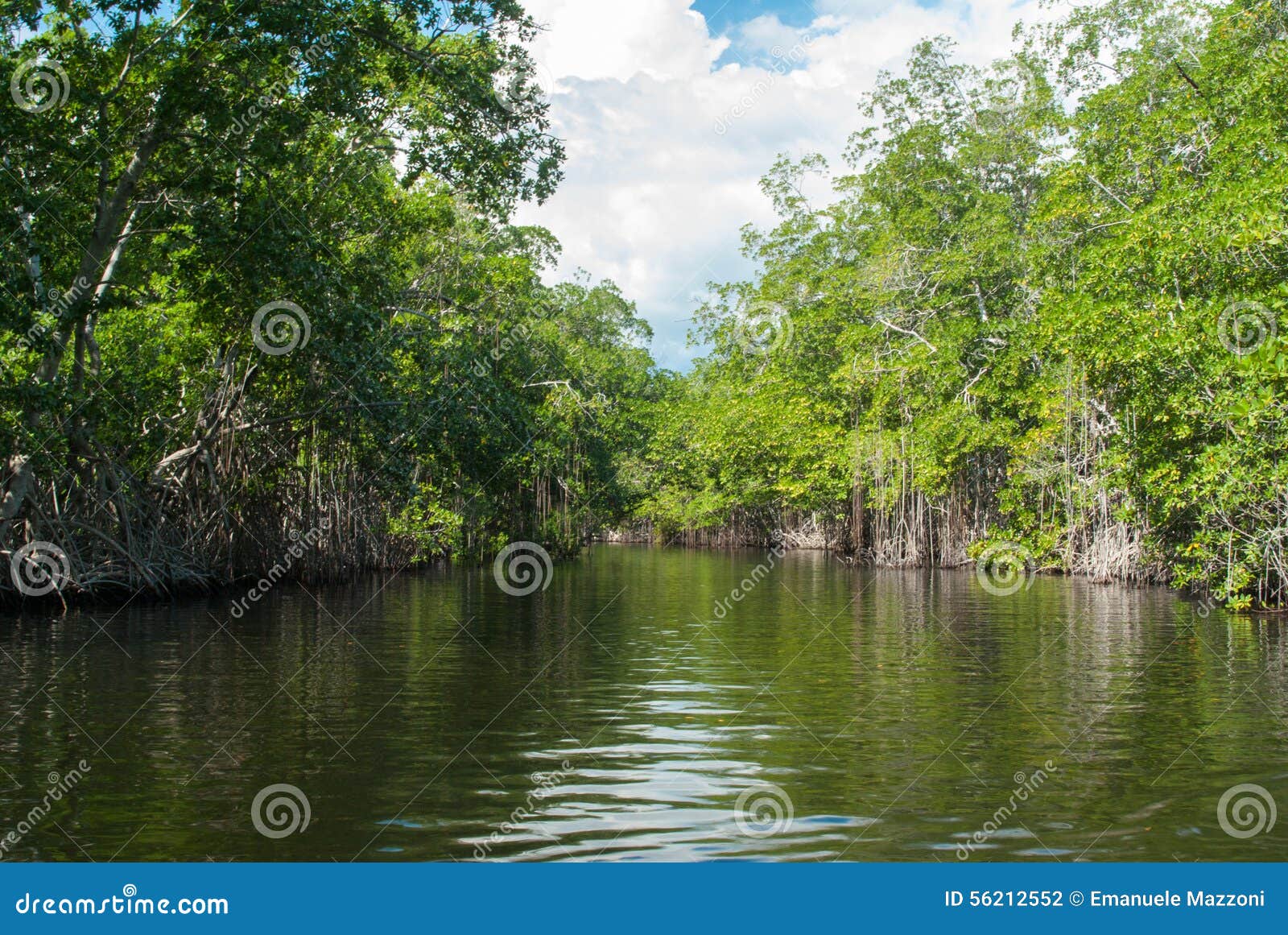 Black river, Jamaica stock photo. Image of hike, jamaican 56212552