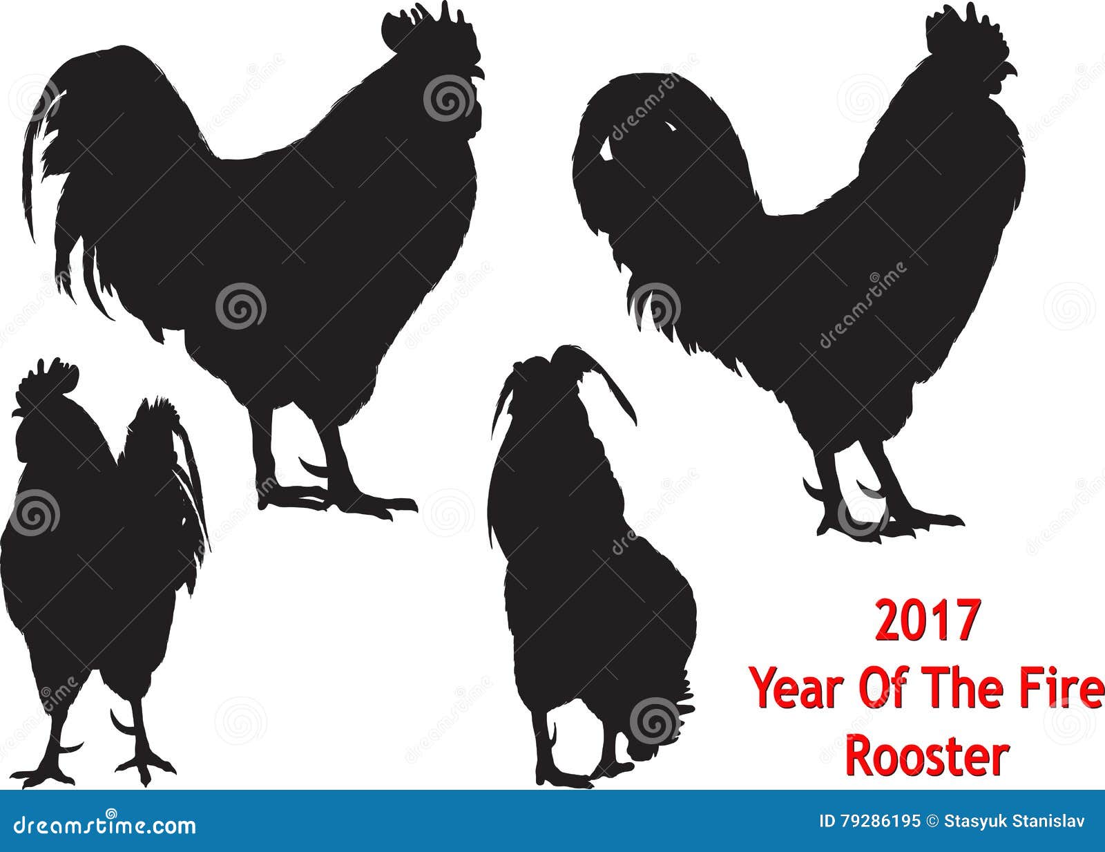 Black Rooster Four Positions Stock Vector Illustration of country