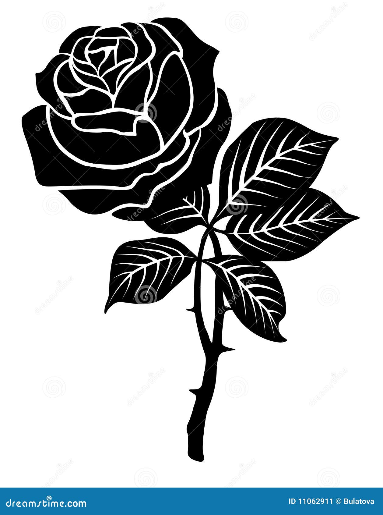 Black rose stock vector. Illustration of nature, elegance - 11062911