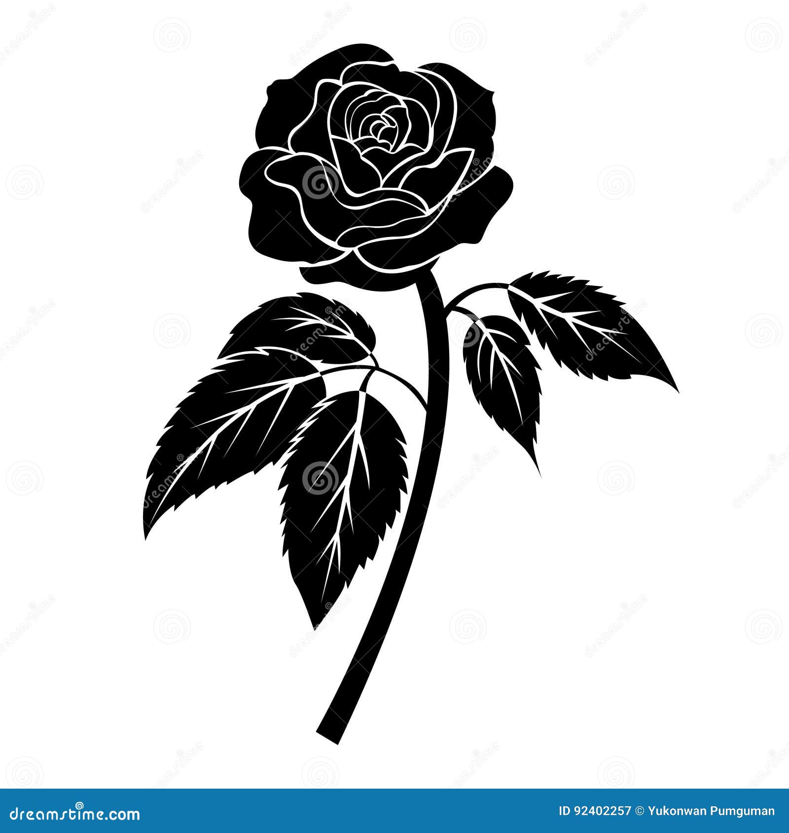 Black Rose Illustration, Tattoo on White Background, Isolated Vector ...