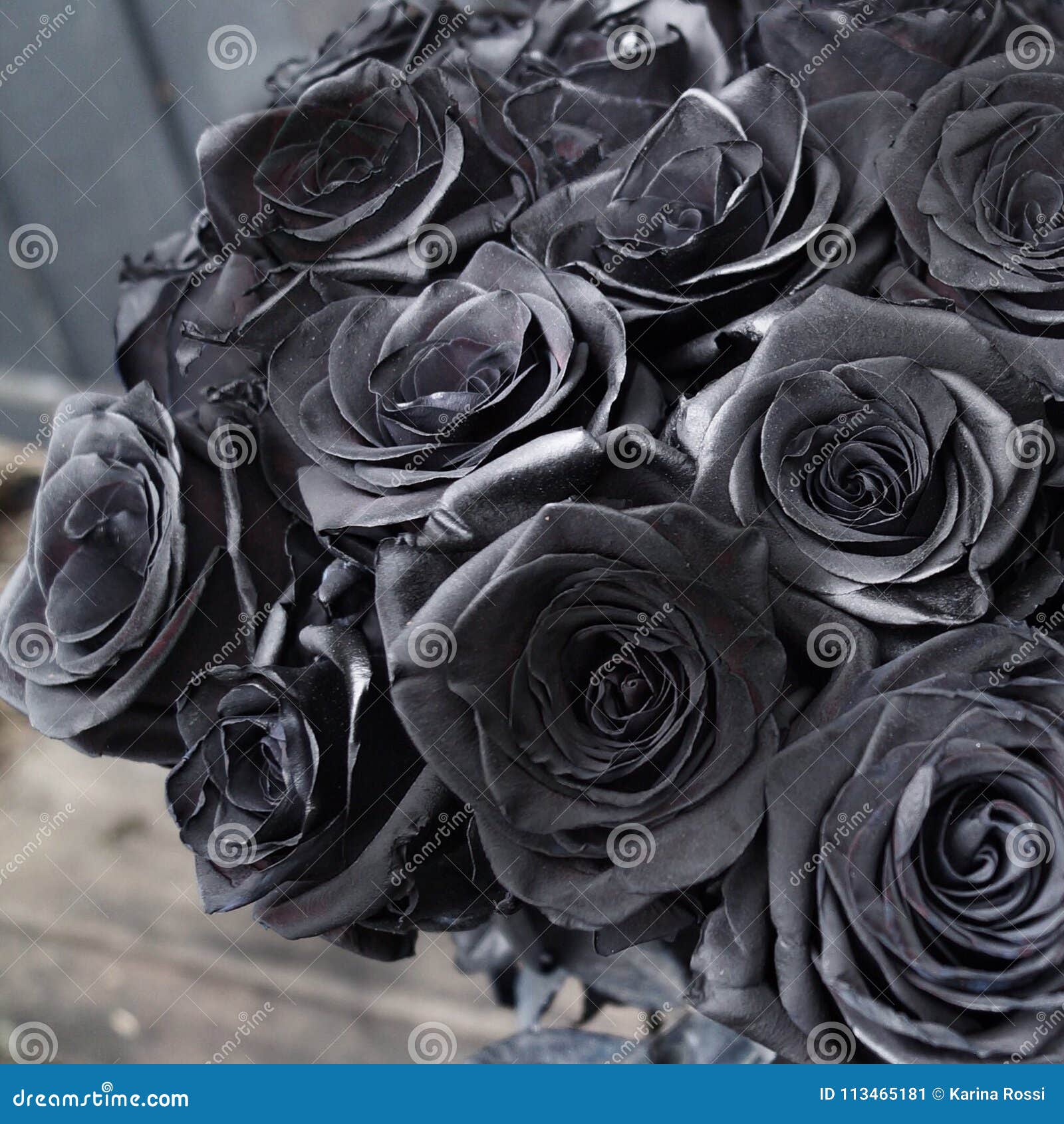Black roses stock image. Image of rare, beautiful, flower 113465181