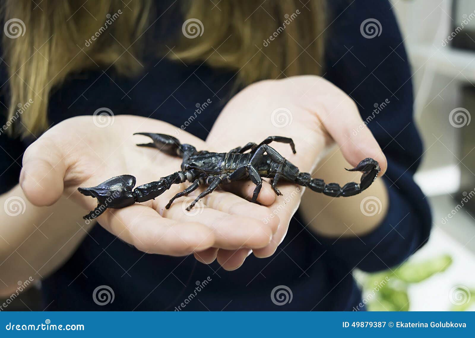 Femeia scorpion si barbatul fecioara compatibilitate