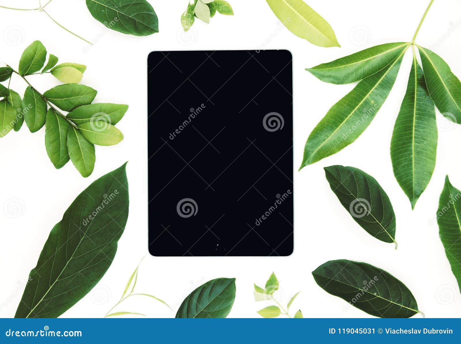 black screen pad and vivid green leaf on white background. user interface of ipad app mockup with green foliage.