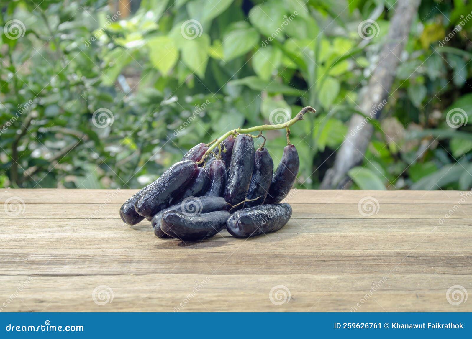 Black Seedless Witch Finger Grape on Wooden Floor Stock Image Image