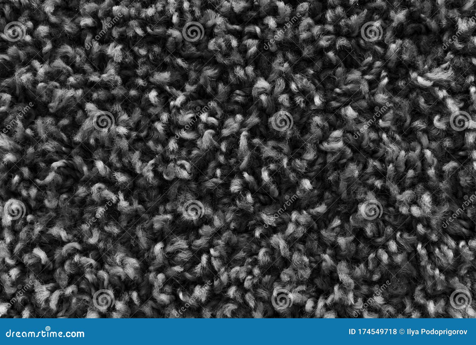 Black Shaggy Carpet Texture, Rug with Short Wool Background Stock Photo