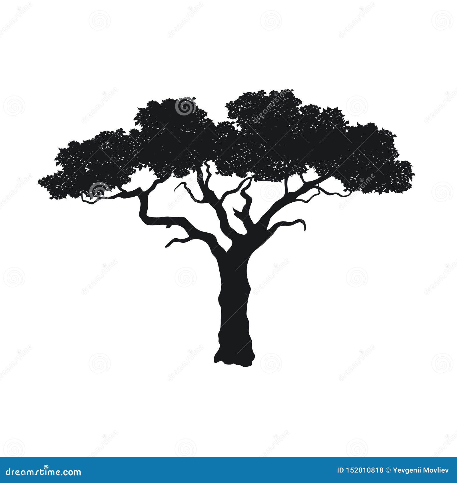 black silhouette of african tree.  image of savannah nature. forest landscape of africa. acacia icon