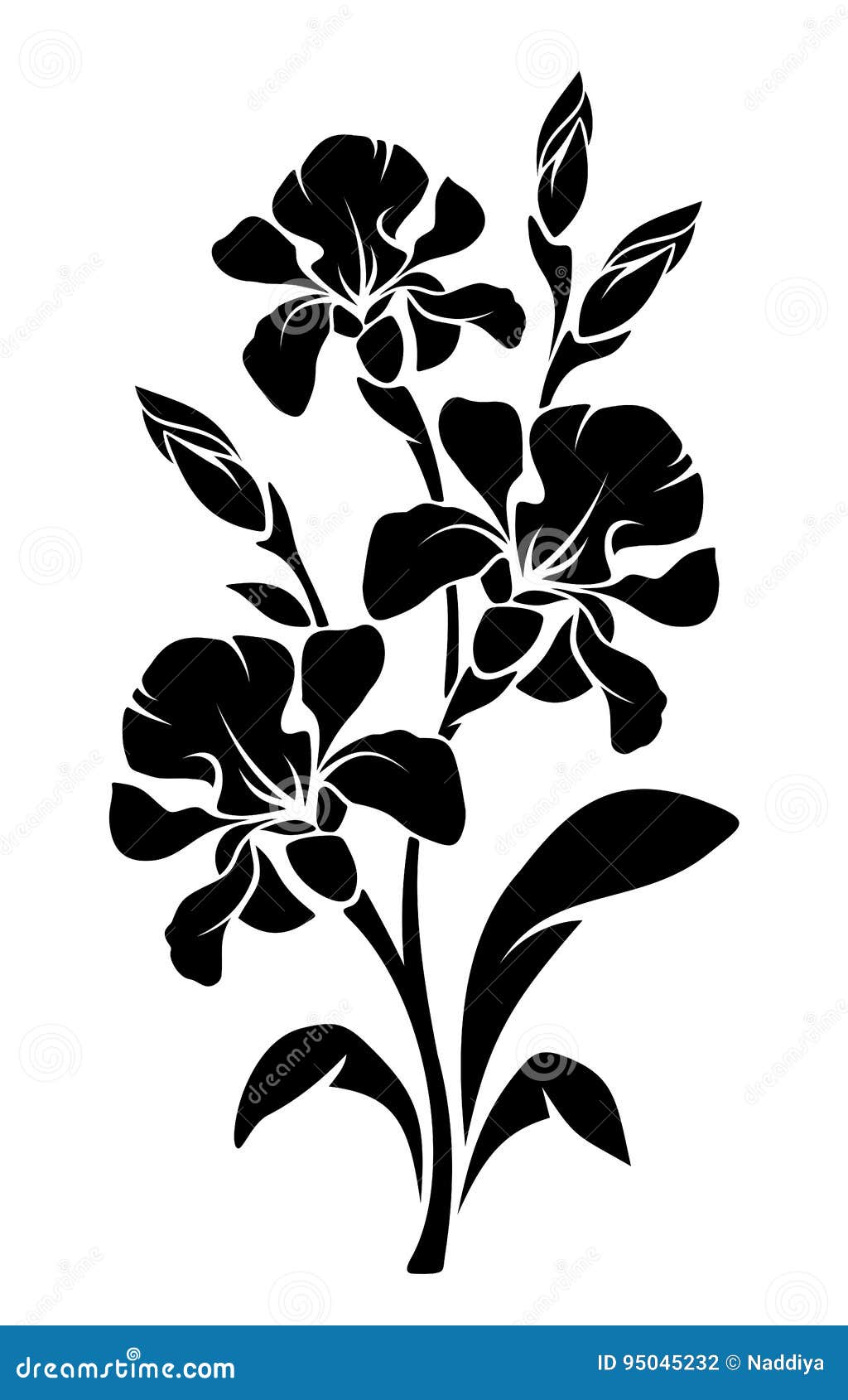 Black Silhouette Of Iris Flowers. Vector Illustration. Stock Vector