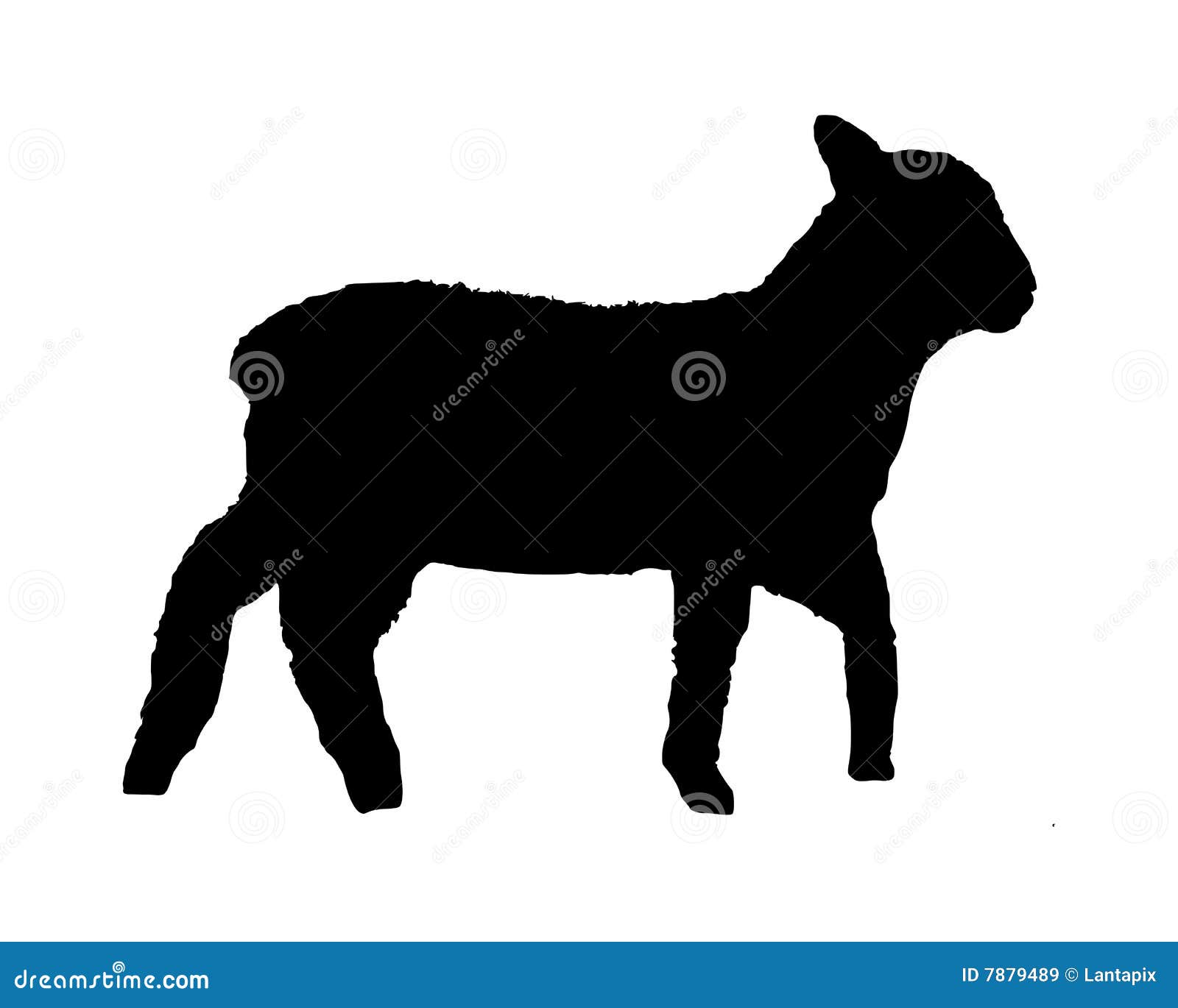 Black Silhouette Of A Lamb Royalty Free Stock Images Image 7879489