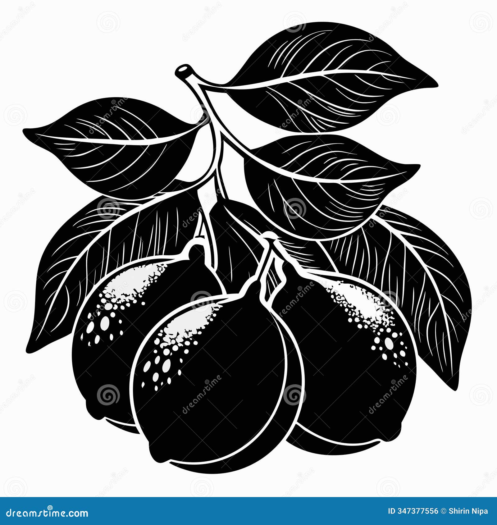 a black silhouette lemons on a isoleted white background