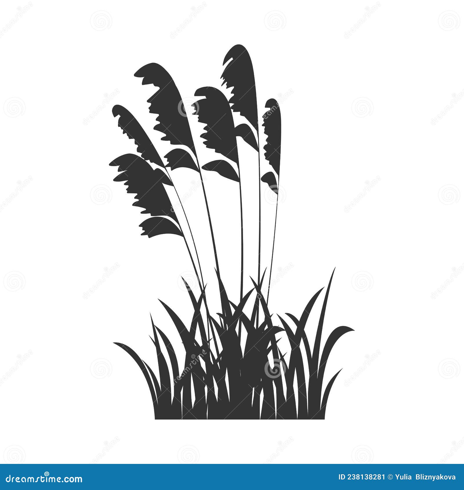 Black Silhouette of Marsh Grass, Lake Reeds. Vector Illustration of ...