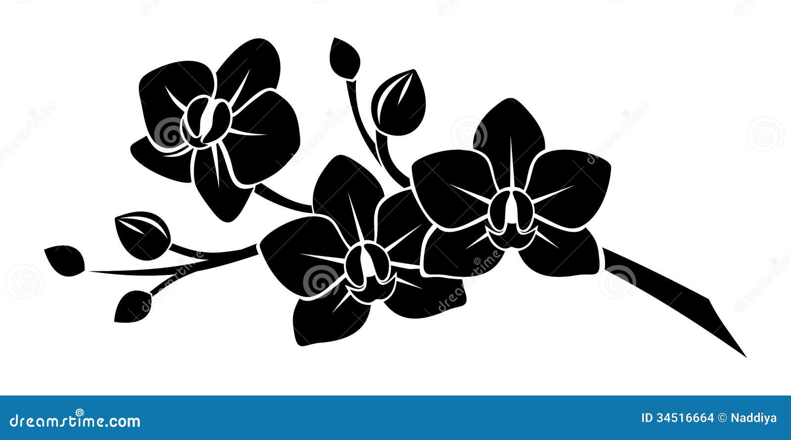 black silhouette of orchid flowers.