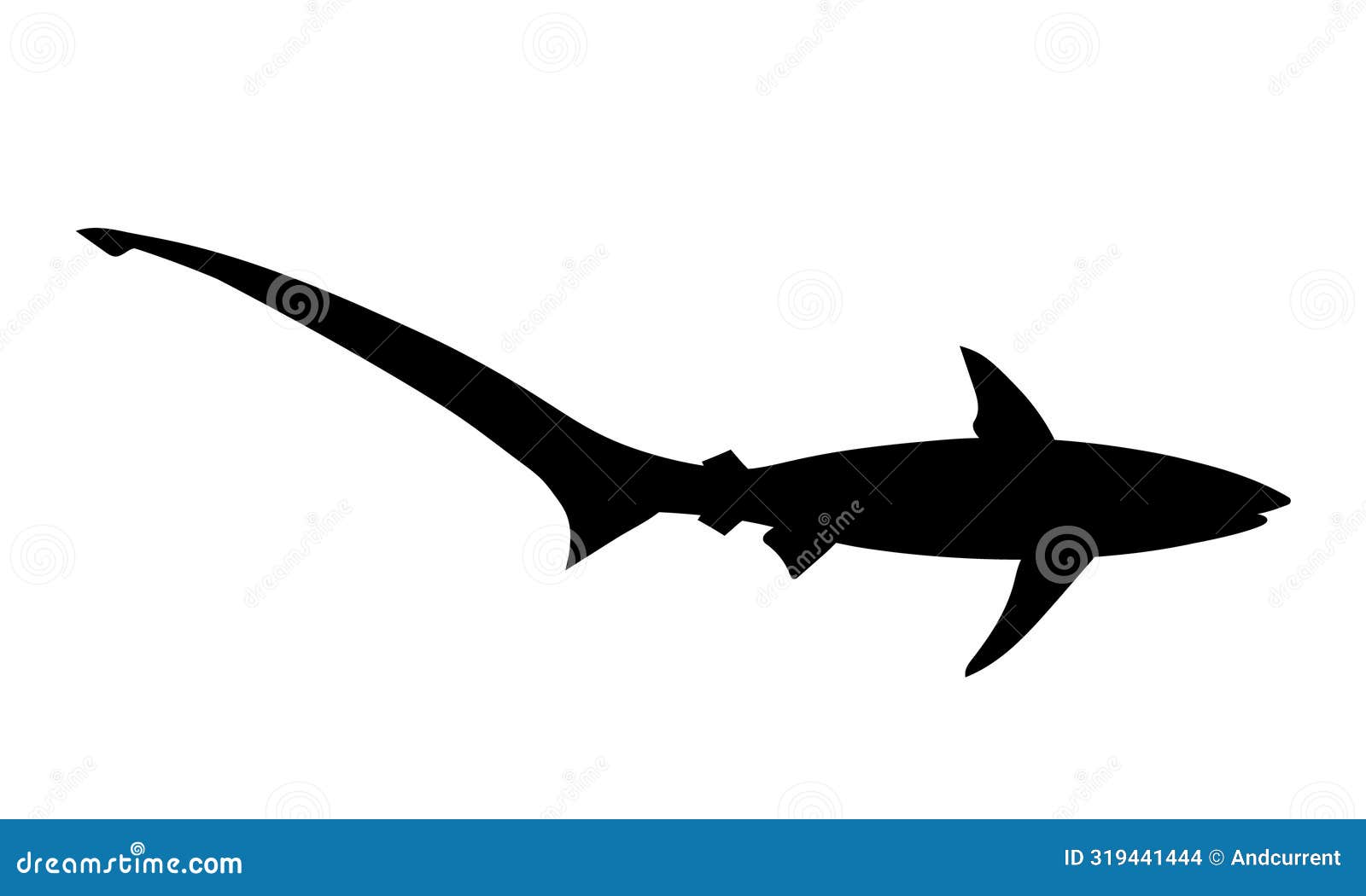 Black Silhouette of Shark. Vector Image. Stock Illustration